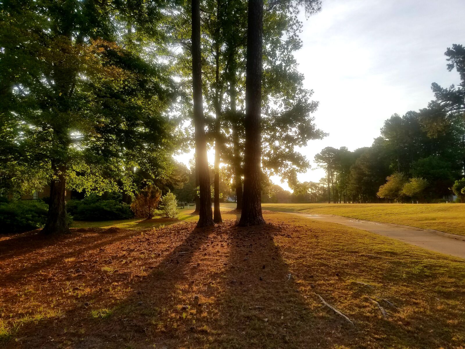 Samsung Galaxy S7 sample photo. Morning, sunrise, golf course photography