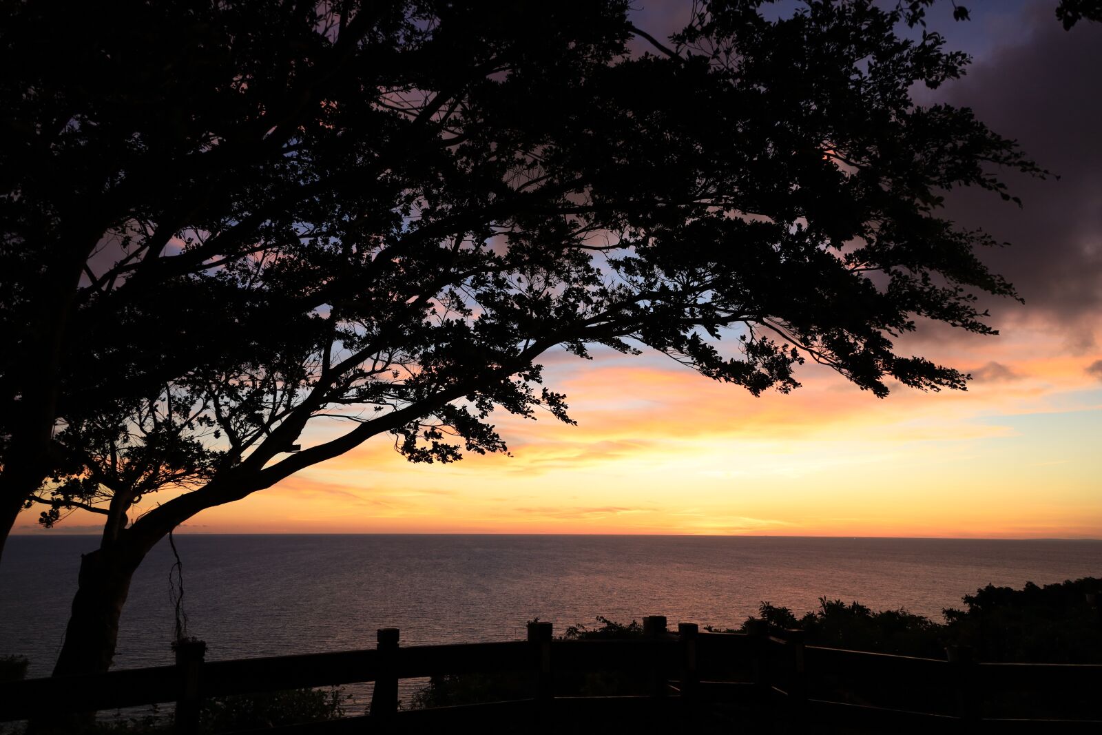 Canon EOS RP sample photo. Sunset, tree, ocean photography
