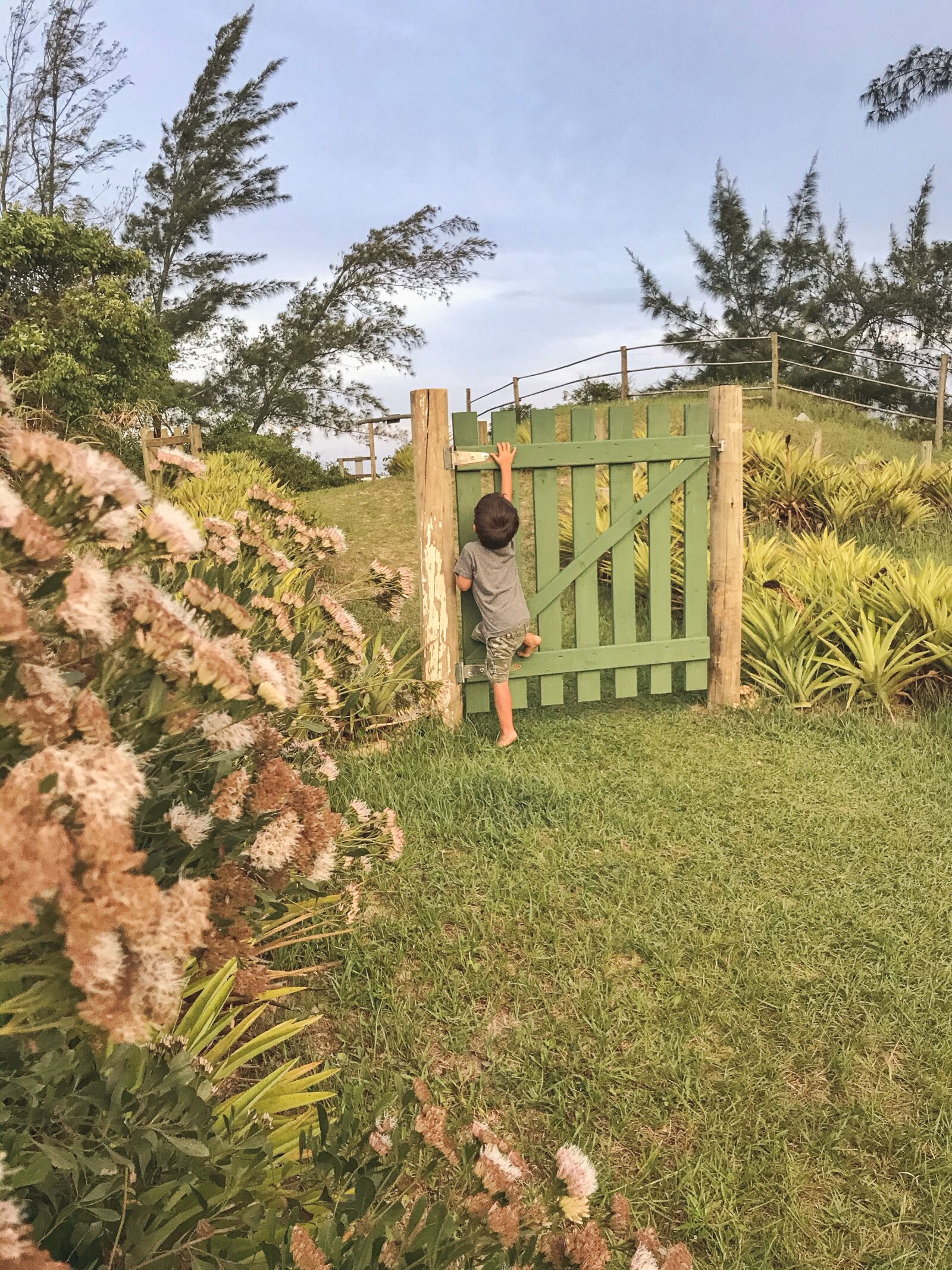 iPhone 7 back camera 3.99mm f/1.8 sample photo. Garden, children, play photography