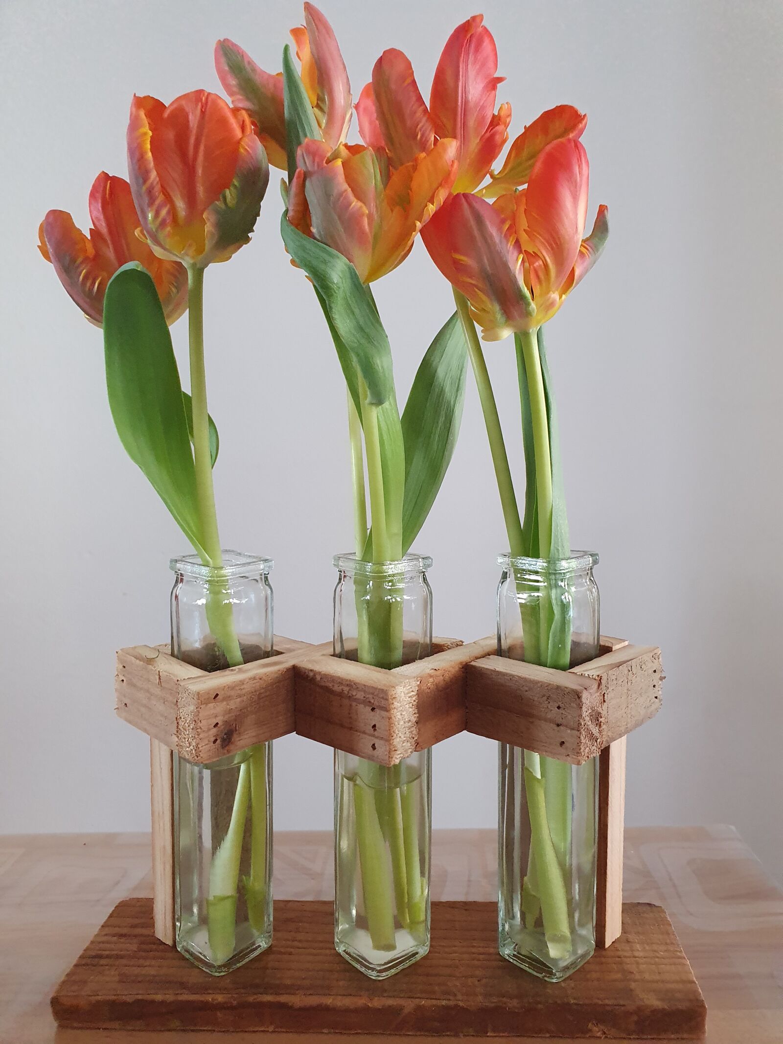 Samsung Galaxy S10 sample photo. Spring, flowers, tulips photography