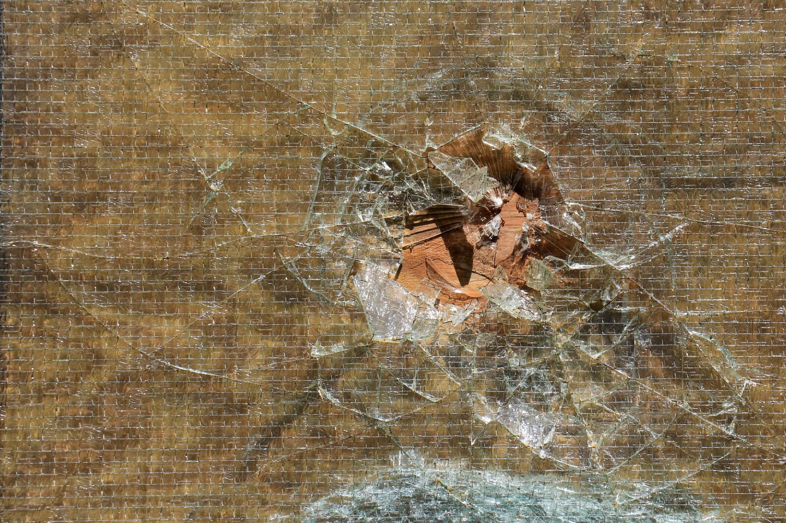 Canon EOS 700D (EOS Rebel T5i / EOS Kiss X7i) sample photo. Glass, splitter, broken photography