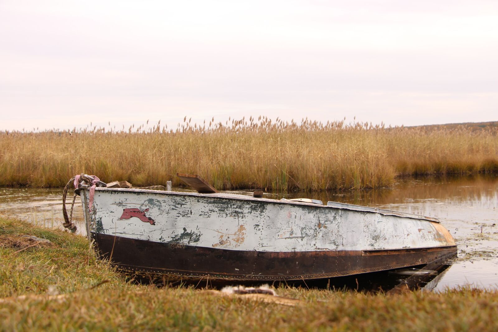 Canon EOS 700D (EOS Rebel T5i / EOS Kiss X7i) sample photo. Nature, boat, river photography