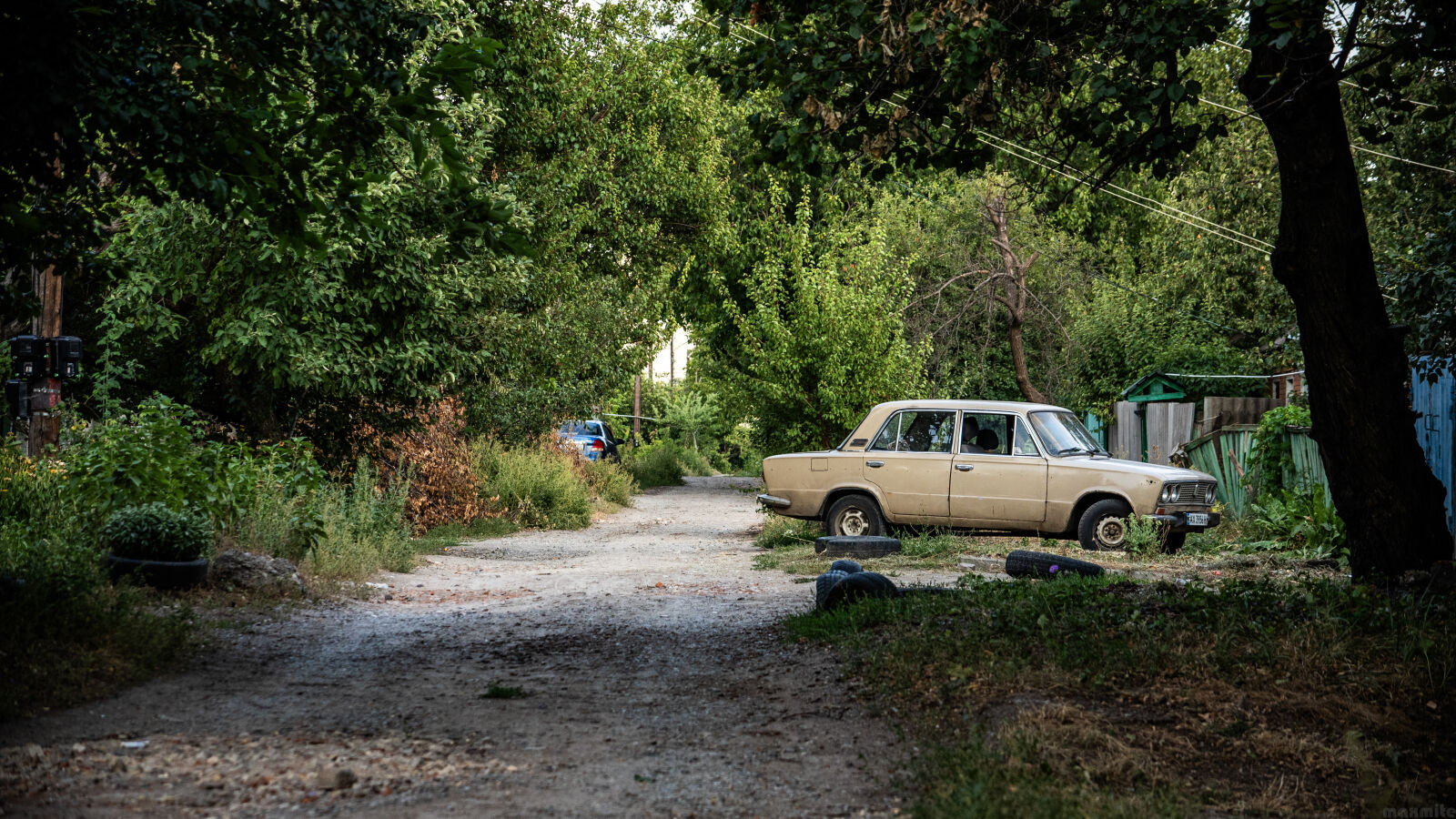 Nikon D750 sample photo