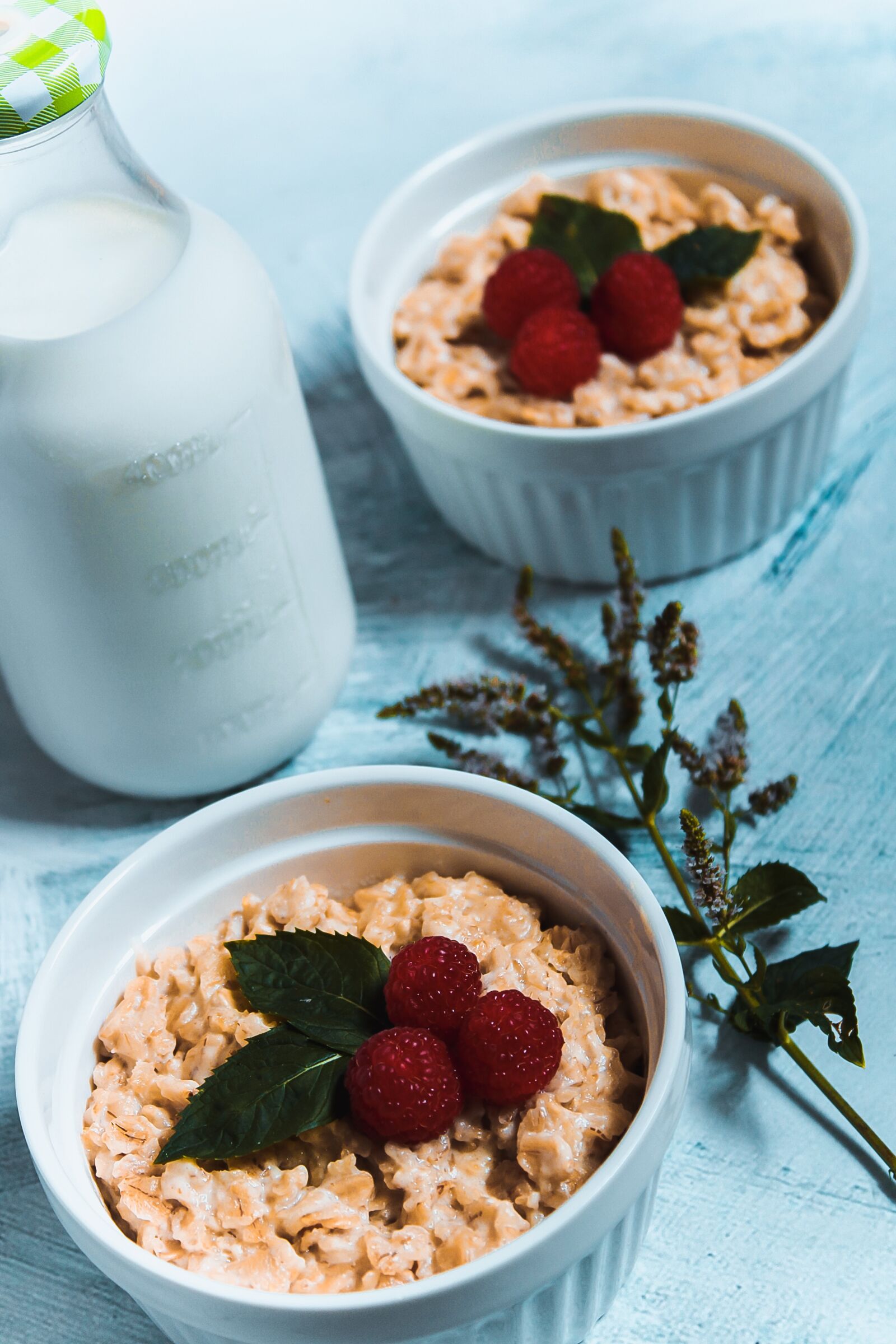 Canon EOS 2000D (EOS Rebel T7 / EOS Kiss X90 / EOS 1500D) sample photo. Oatmeal, porridge, raspberry photography
