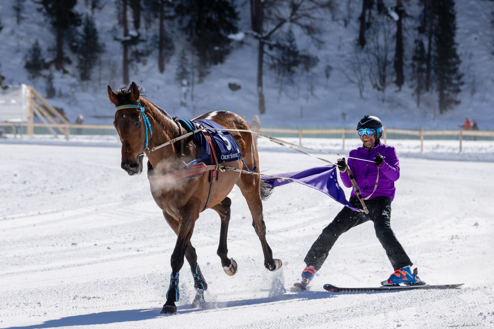 Canon EOS 6D Mark II sample photo. White turf, horse racing photography