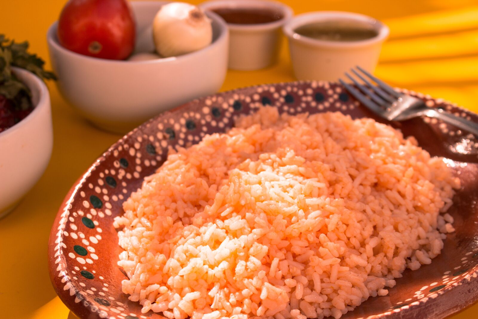 Canon EOS 600D (Rebel EOS T3i / EOS Kiss X5) sample photo. Rice, dish, food photography