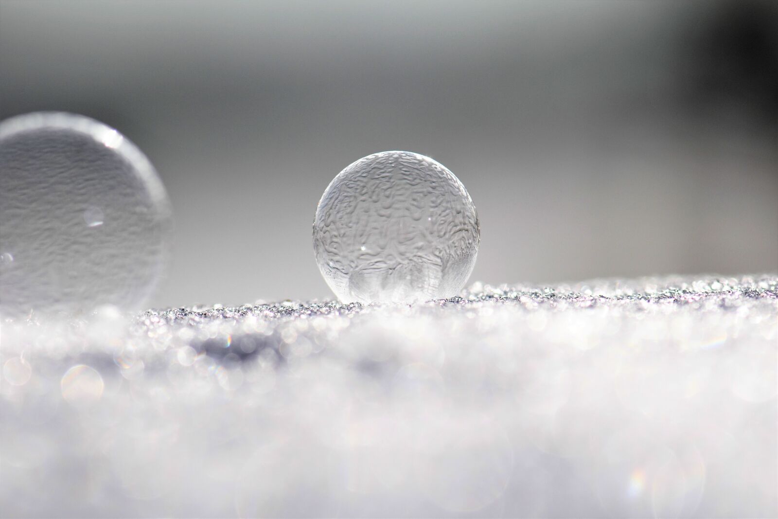 Nikon D5500 sample photo. Soap bubbles, frozen, frost photography
