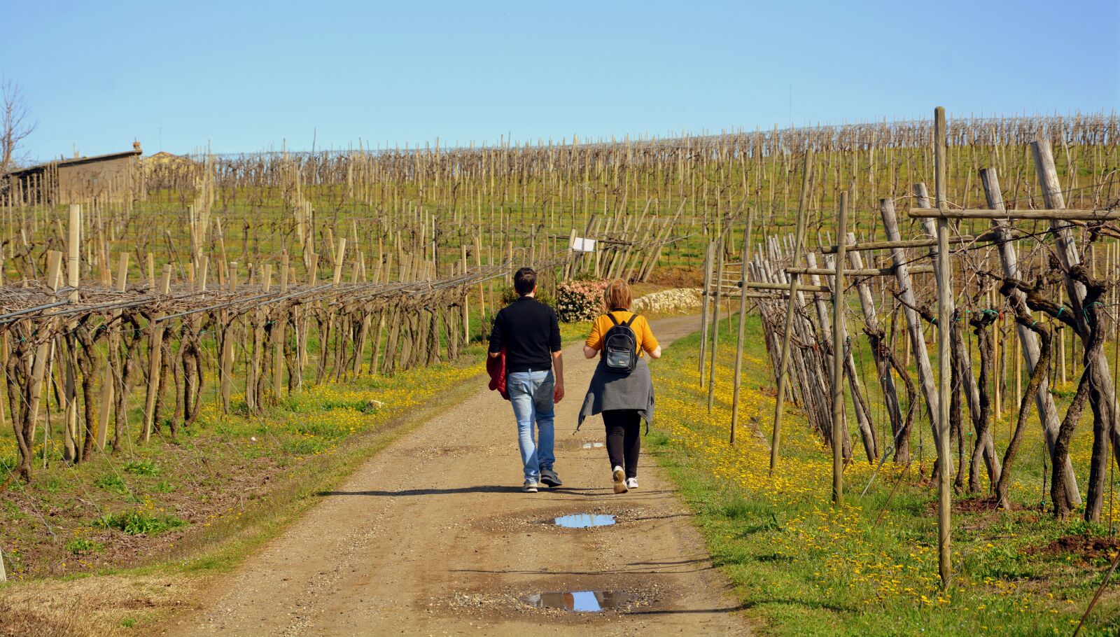 Nikon D7100 sample photo. Walk, excursion, vineyard photography