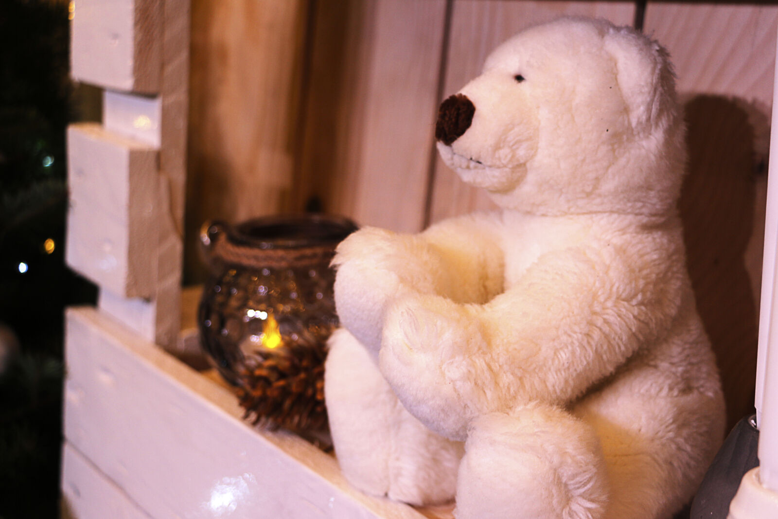 Canon EOS 700D (EOS Rebel T5i / EOS Kiss X7i) sample photo. Atmosphere, bear, christmas, christmas photography