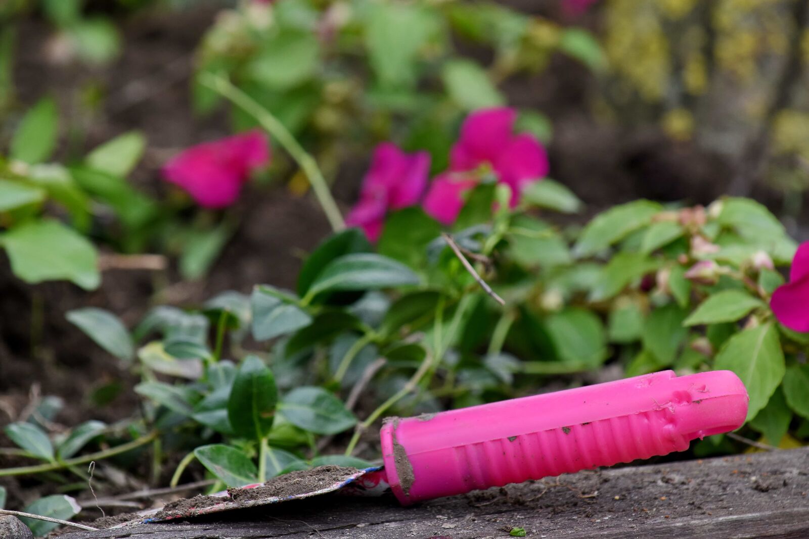 Nikon D5500 sample photo. Gardening, hand tool, nature photography