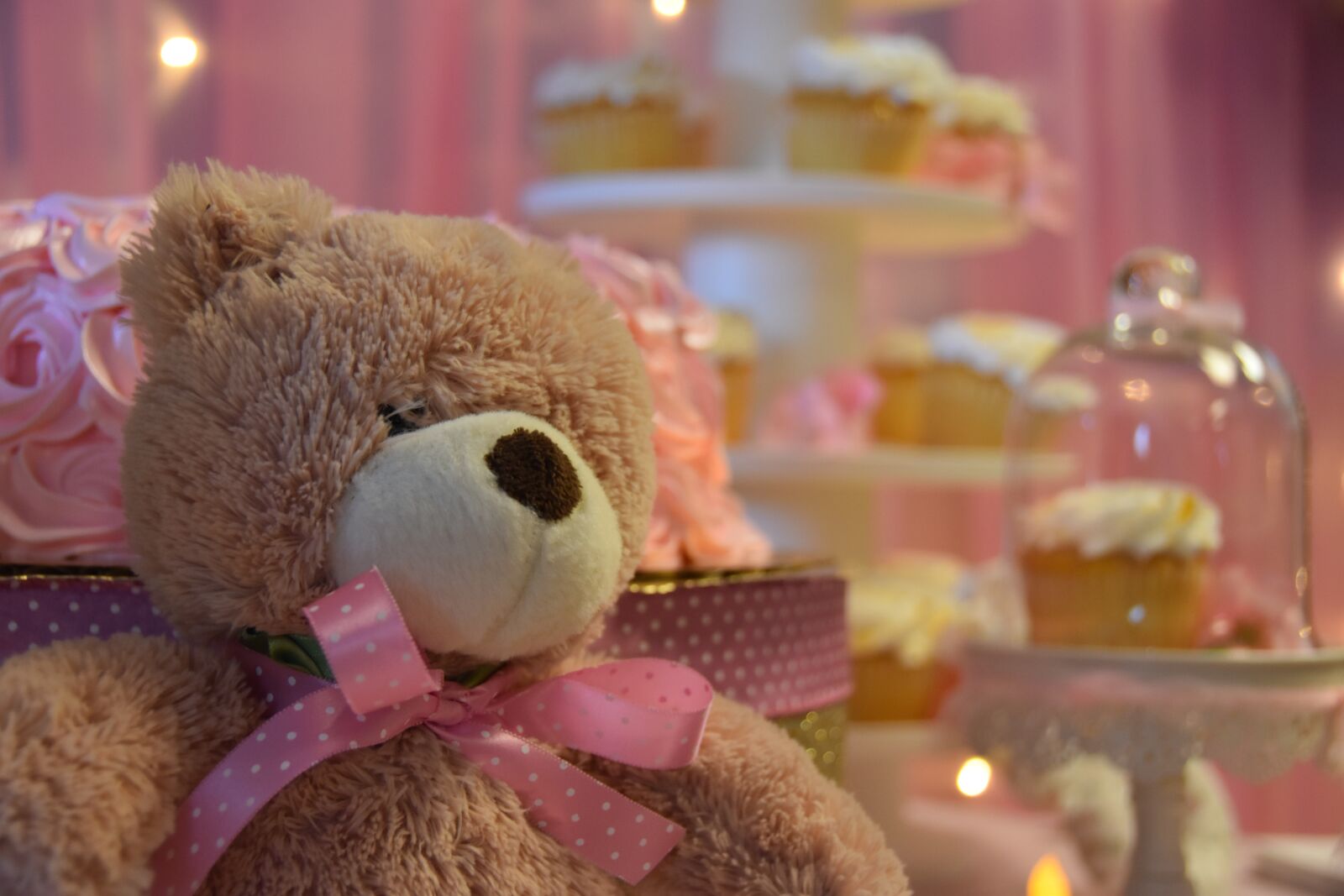 Nikon D5500 sample photo. Desktop, teddy bear, relaxation photography