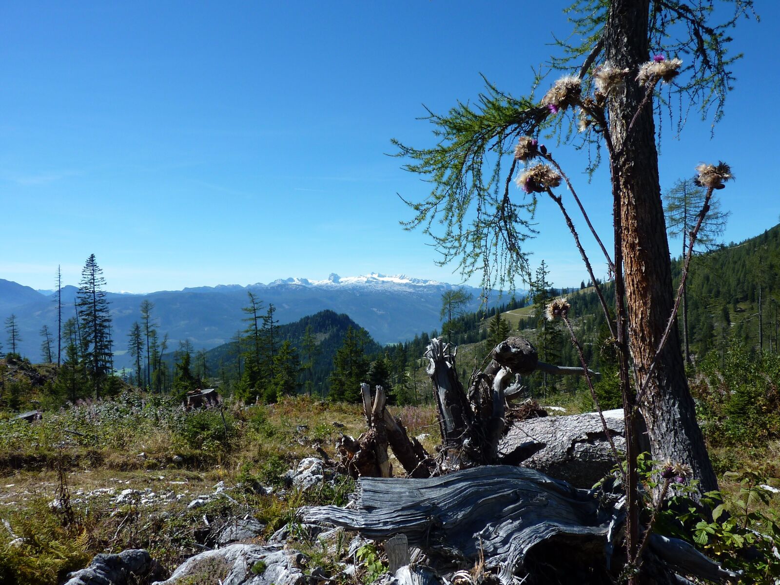 Panasonic DMC-TZ7 sample photo. Mountain plateau, austria, kitzbuehel photography