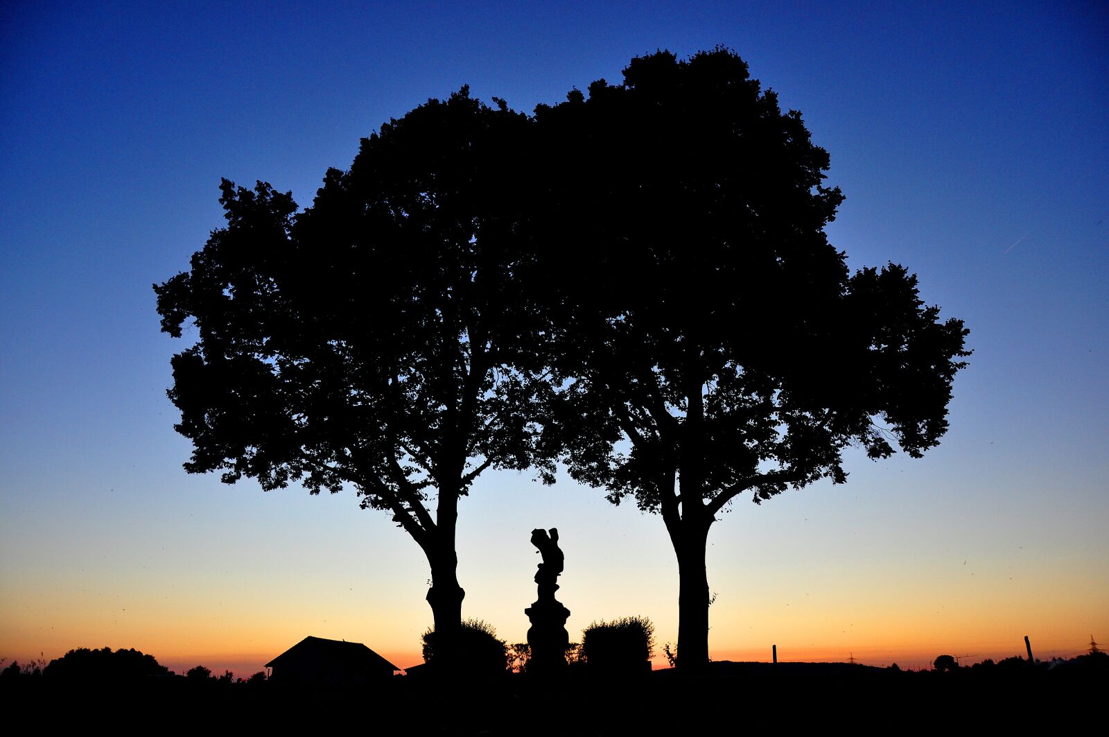 Nikon D90 sample photo. Tree couple, with a photography