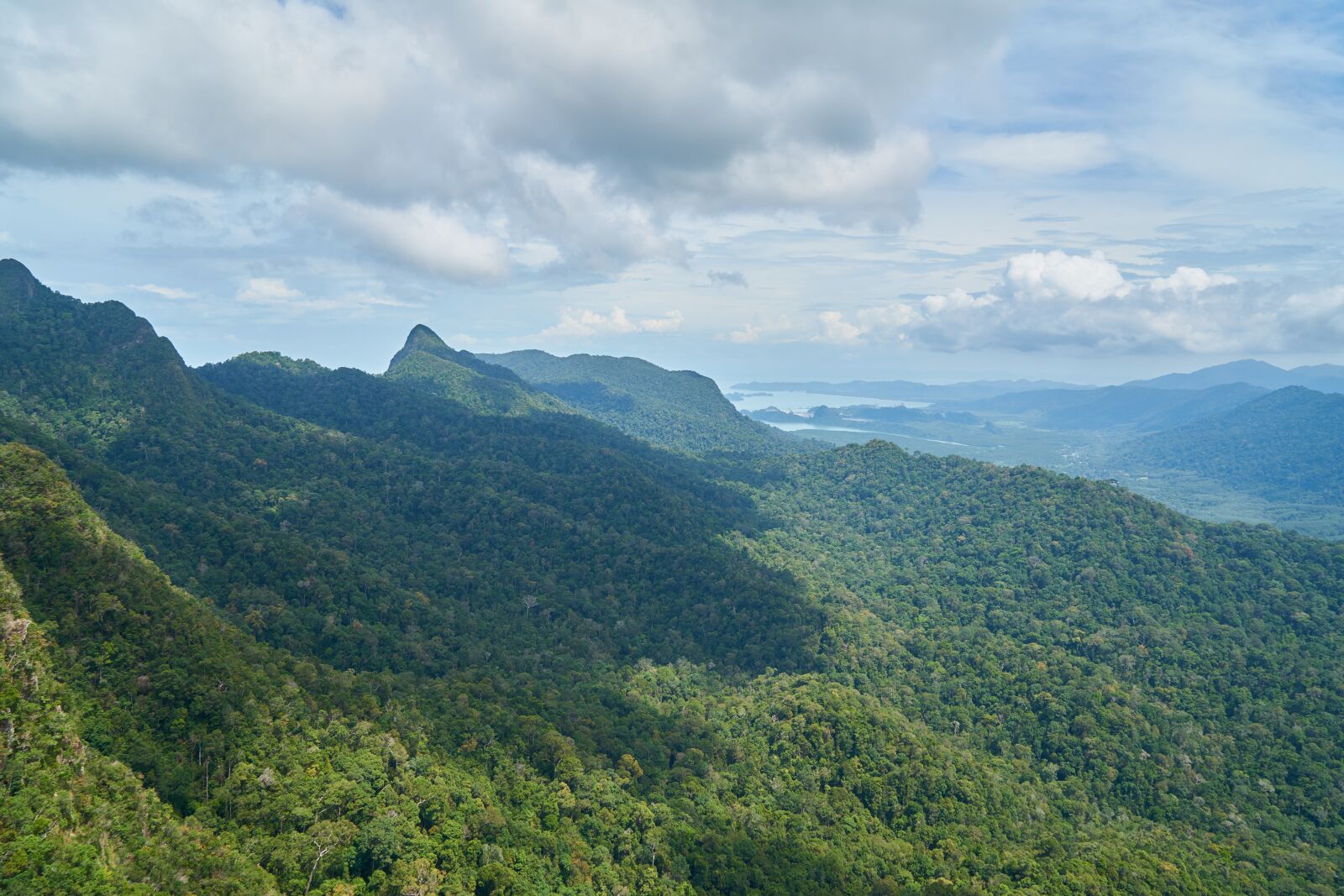 Sony a7R II sample photo. Mountain, forest, clouds photography