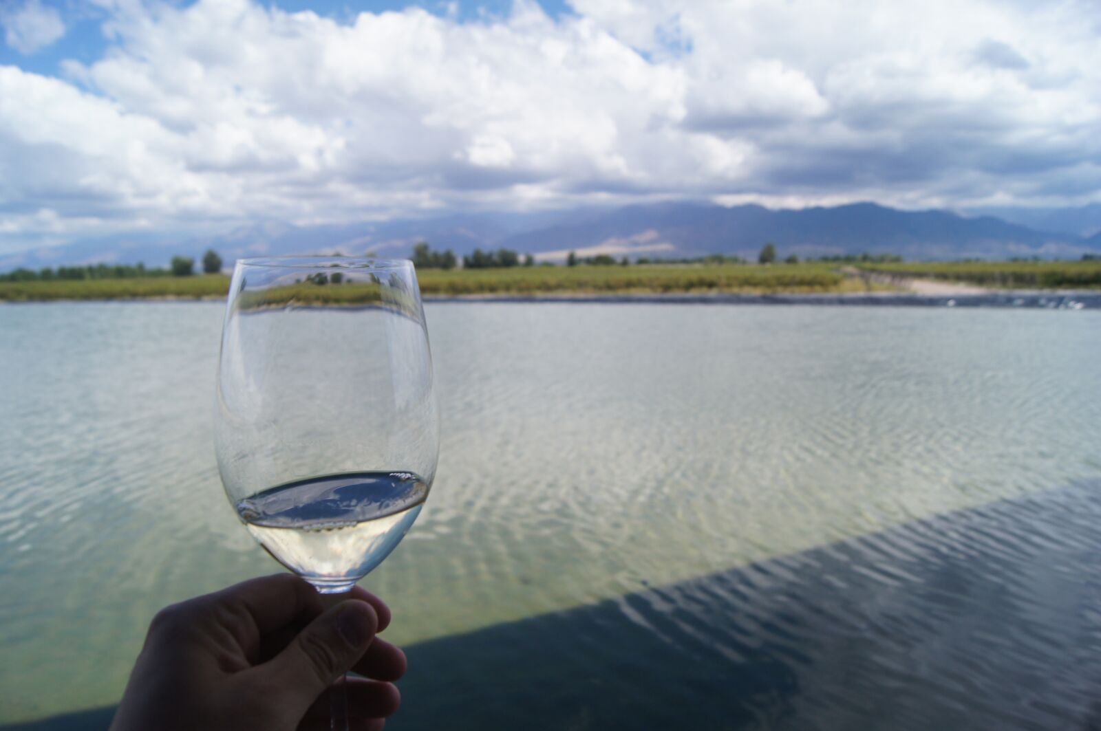 Sony SLT-A35 + Sony DT 18-55mm F3.5-5.6 SAM sample photo. Vineyard, mendoza, wine photography