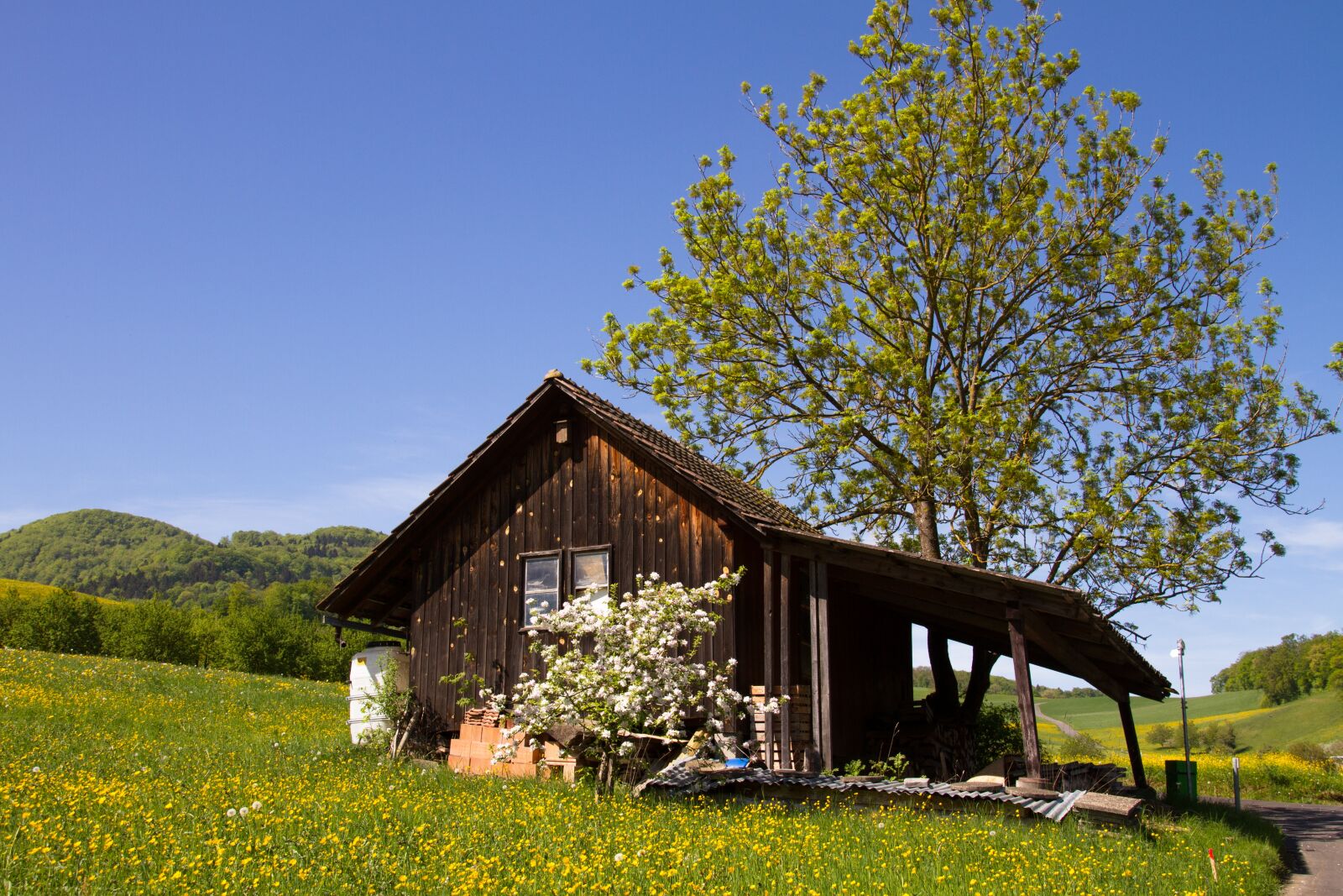 Canon EOS 7D sample photo. Scale, tool shed, hut photography