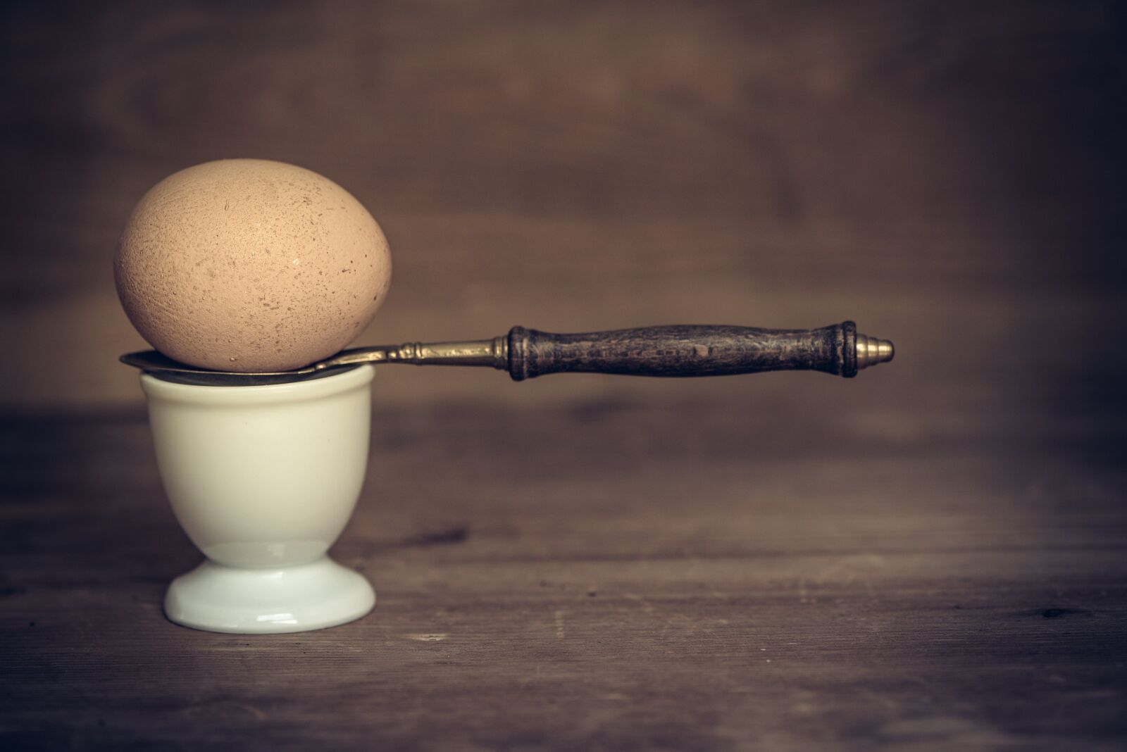 Nikon D750 sample photo. Egg, hen's egg, brown photography