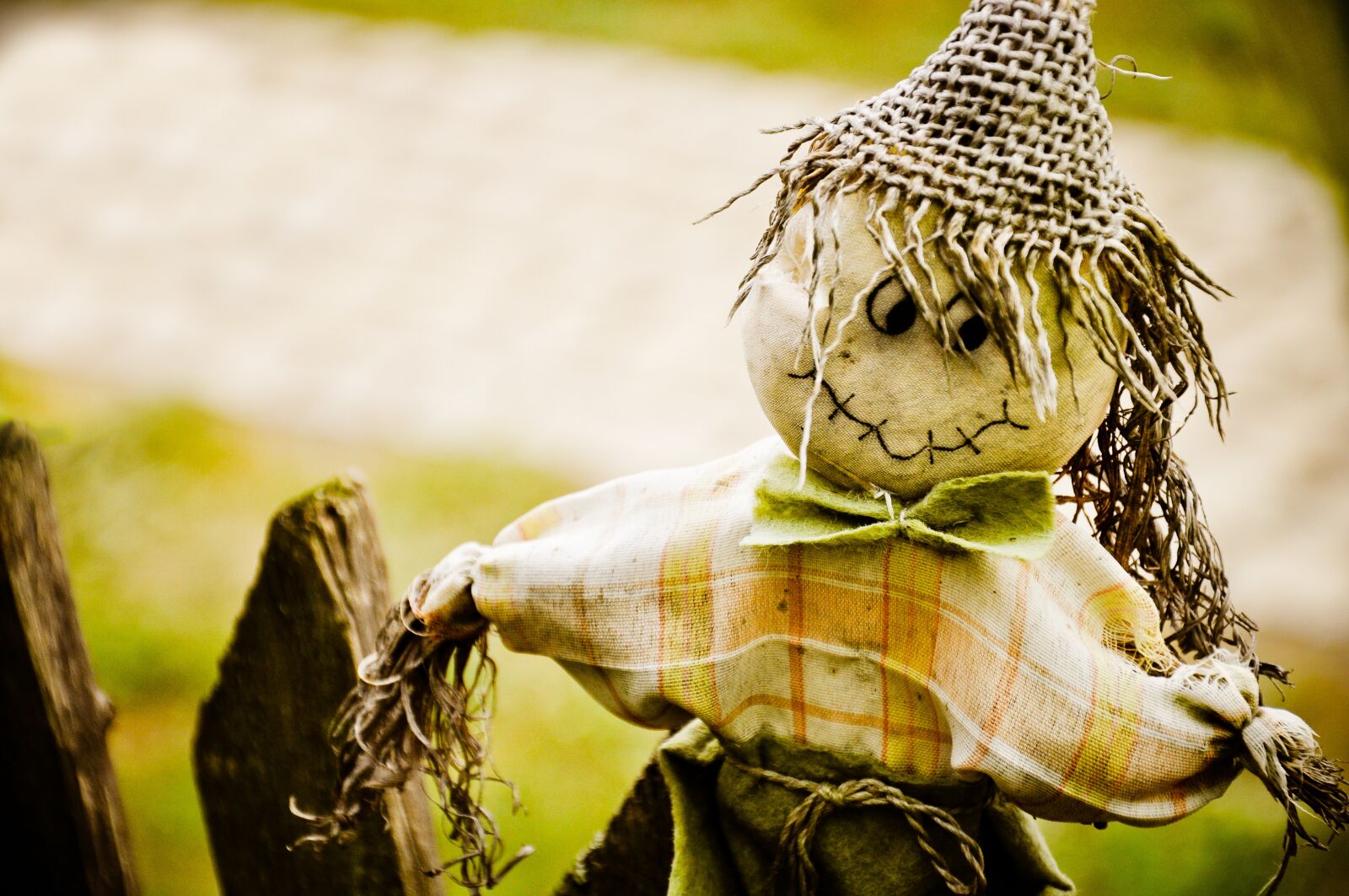Nikon D5000 sample photo. Doll, bad, witch photography