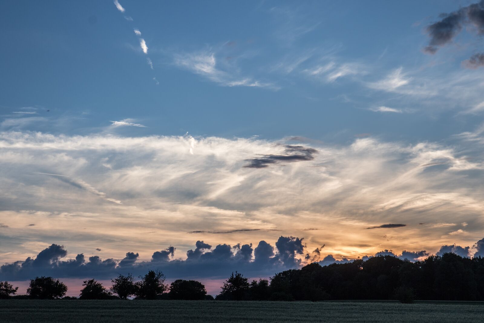 Canon EOS 7D Mark II sample photo. Landscape, summer, nature photography