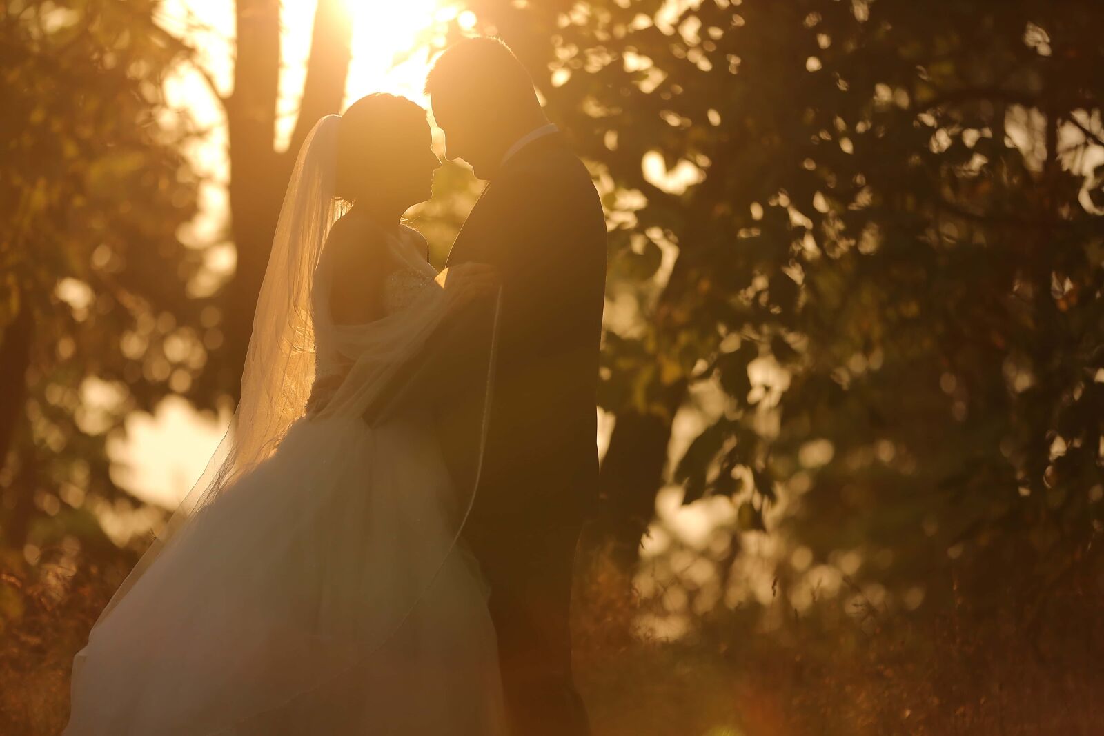 Canon EOS 5D Mark III sample photo. Sunny, hug, sunshine, groom photography