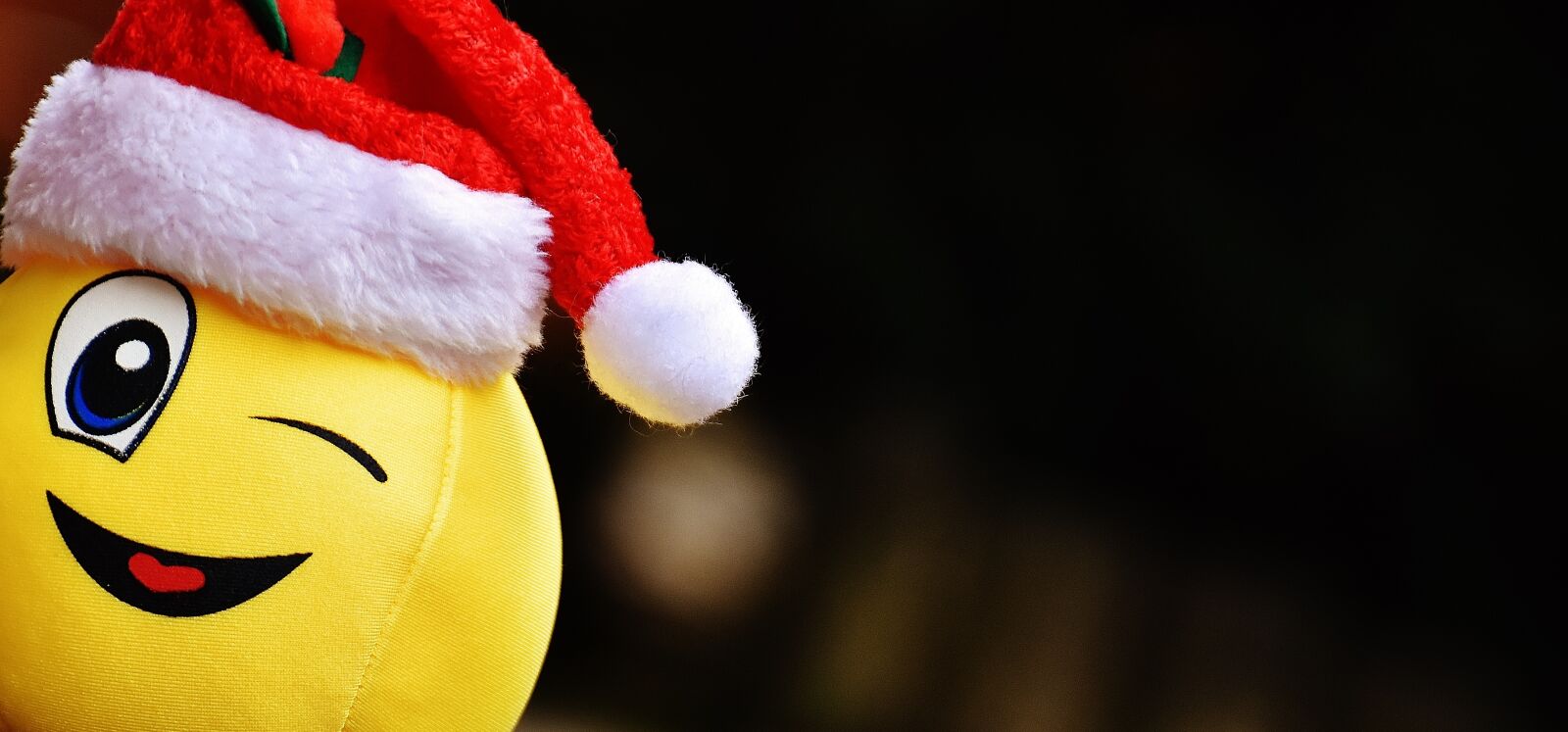Nikon D7200 sample photo. Christmas, smiley, funny photography