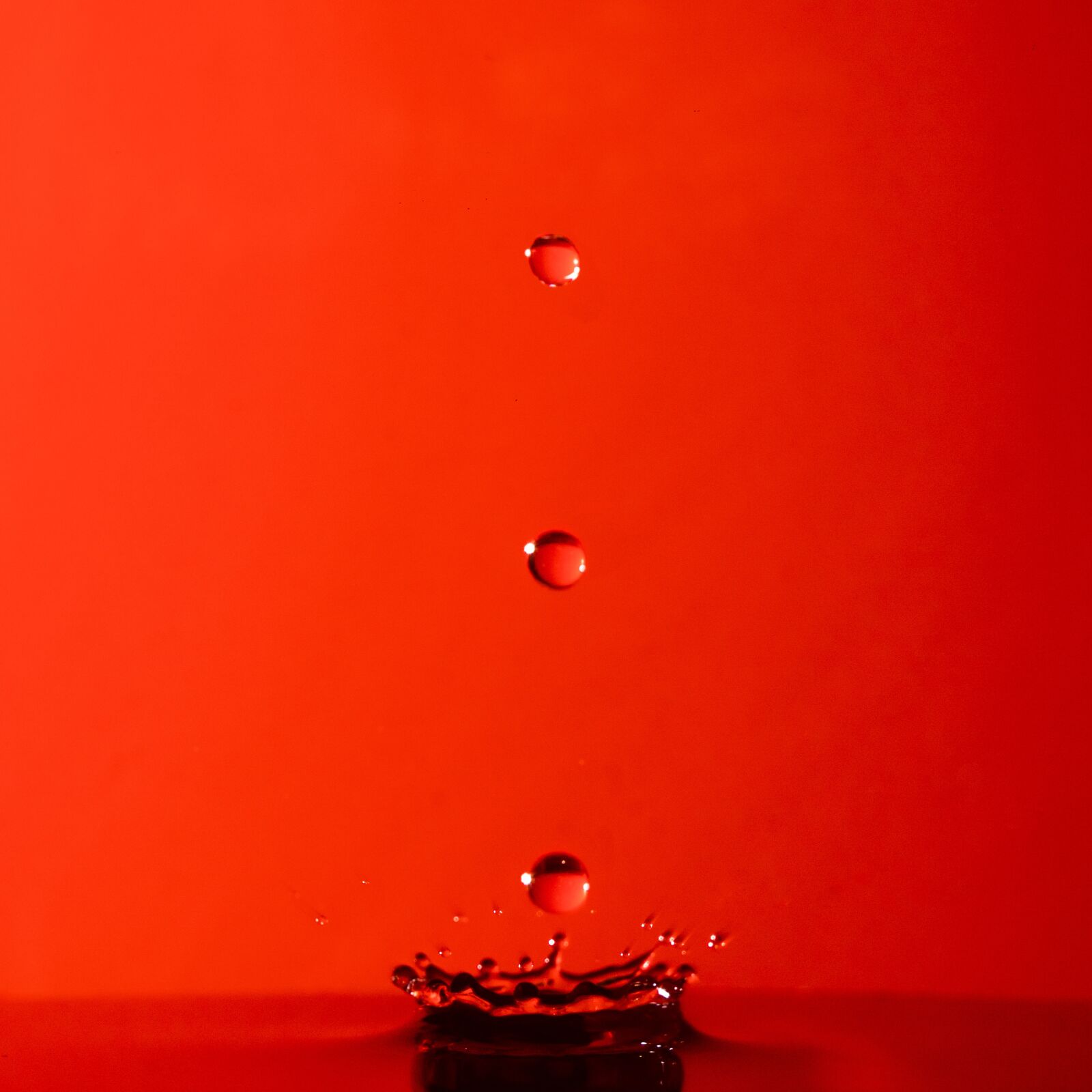 Sony a6300 sample photo. Drop, drops, waterdrop photography