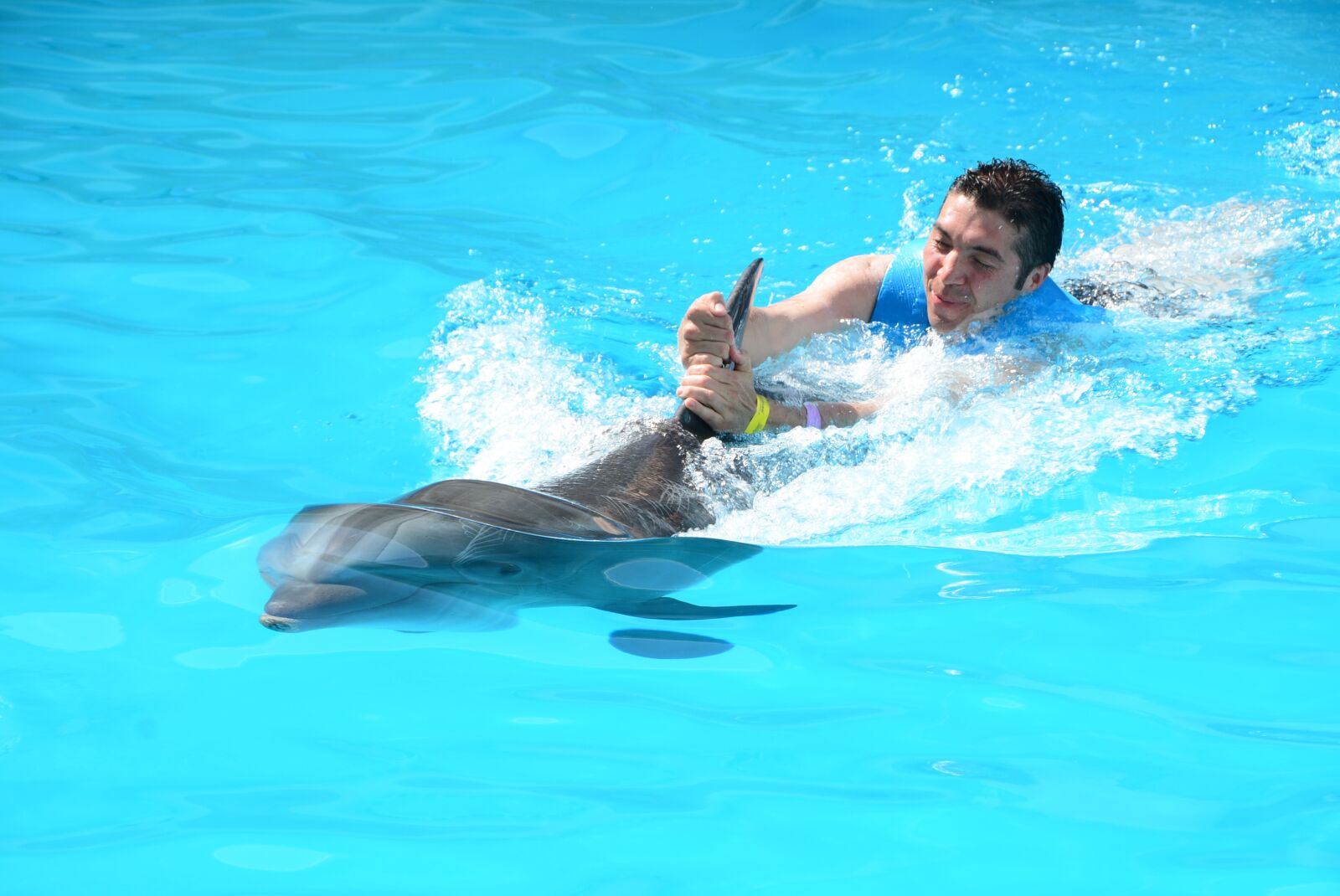 Nikon D5200 sample photo. Oceanic dolphins, dolphins, marine photography