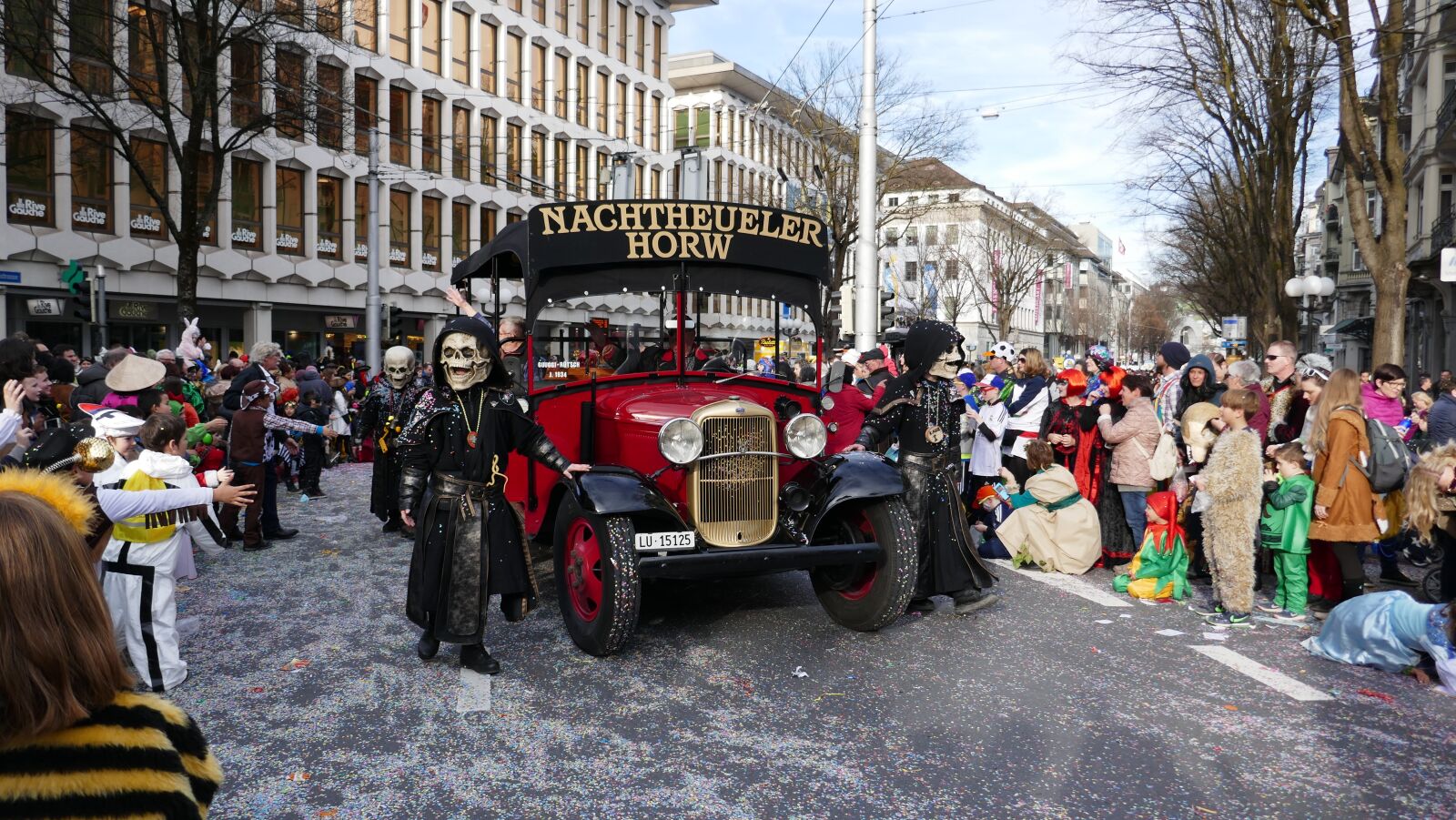 Panasonic DMC-TZ101 sample photo. Carnival, lucerne, mask photography