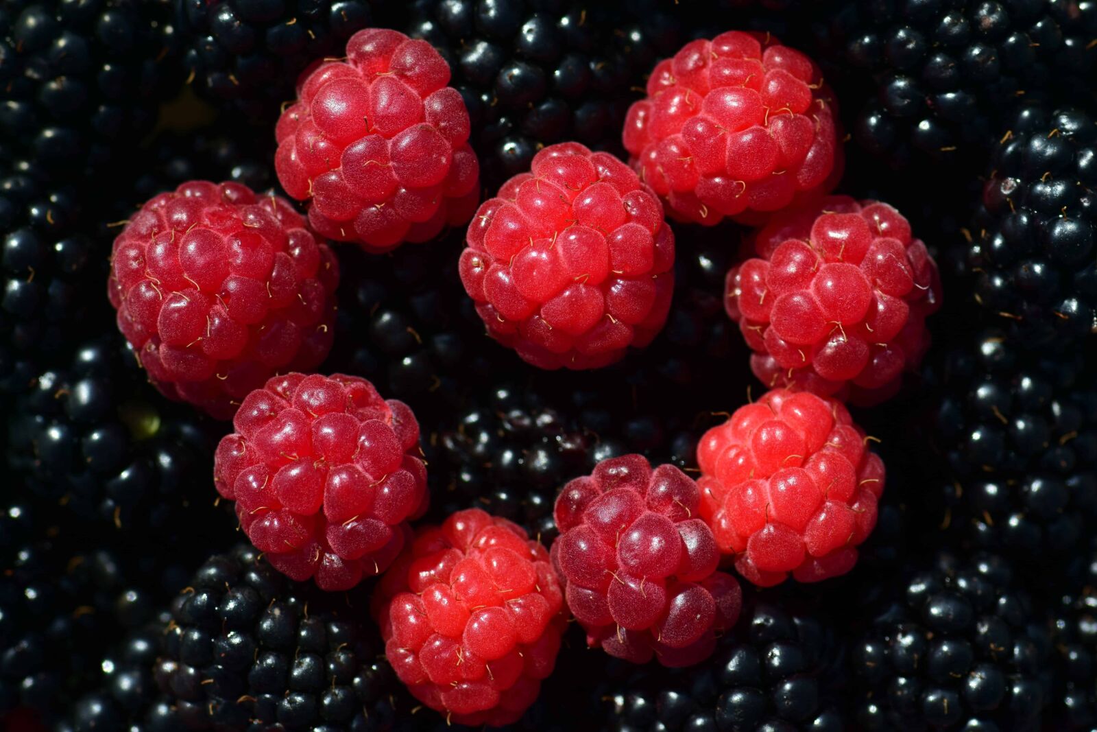 Nikon D3300 sample photo. Fruit, delicious, sweet, food photography