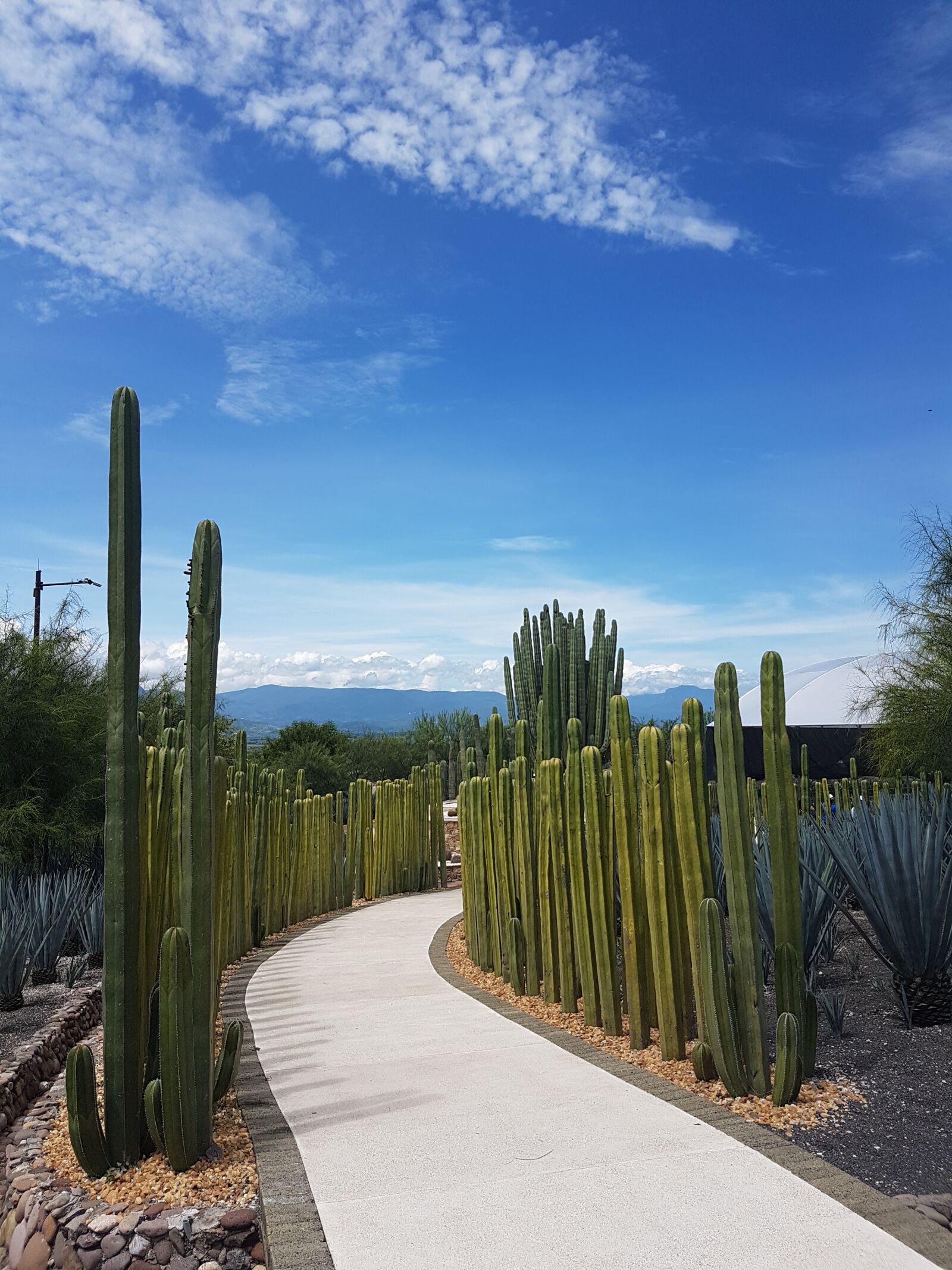 Samsung Galaxy S7 sample photo. Gardens mexico, mexico, garden photography