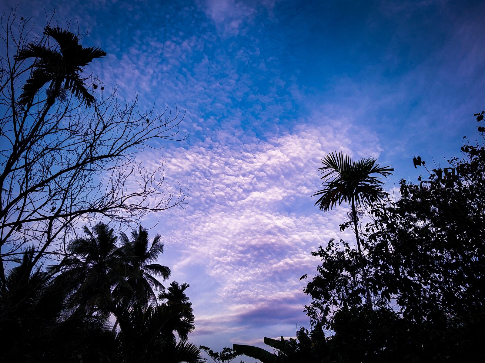 HMD Global Nokia 7.2 sample photo. Sunset, sky, cloud photography