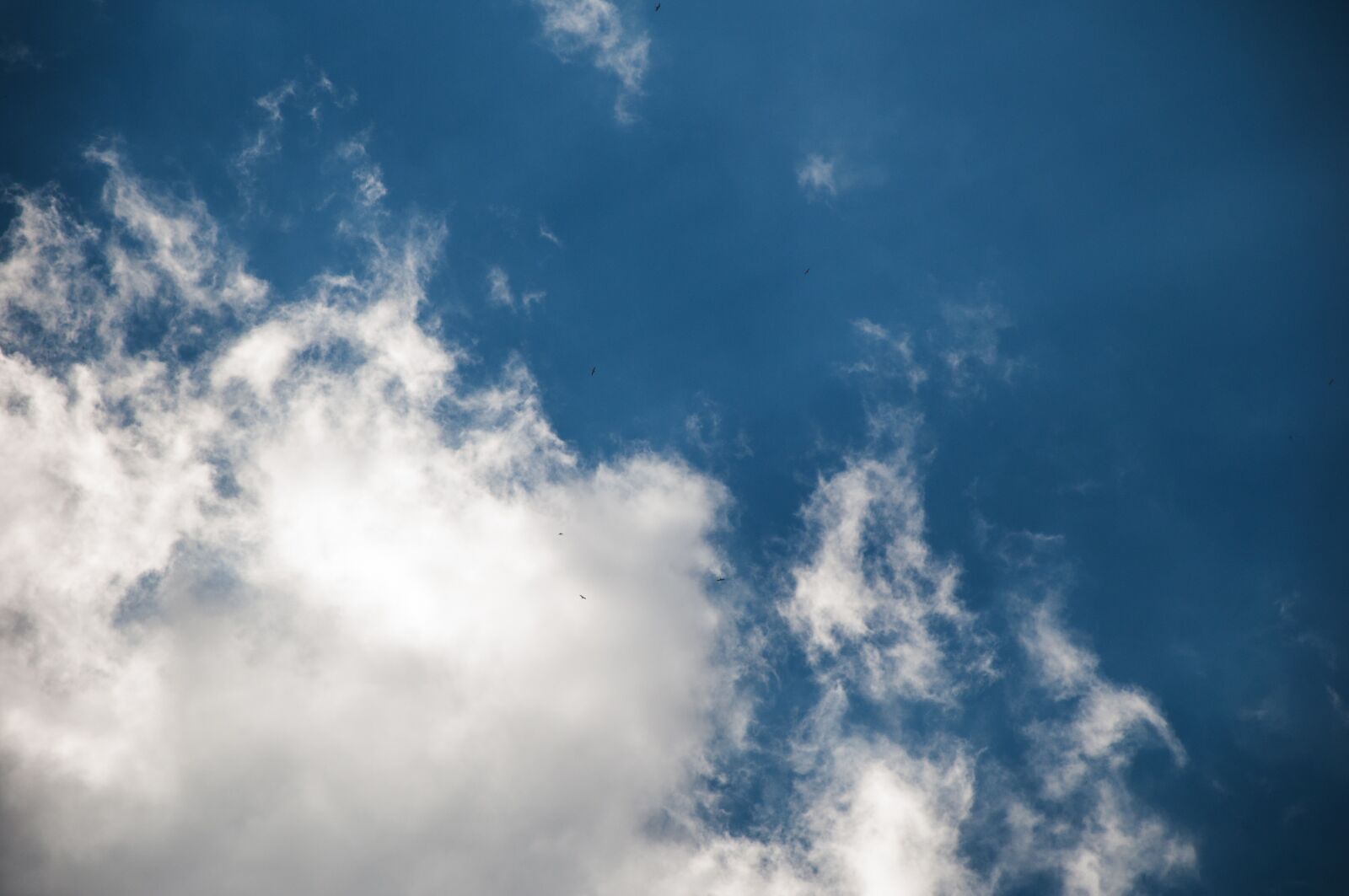 Nikon D90 sample photo. Sky, cloud, blue photography