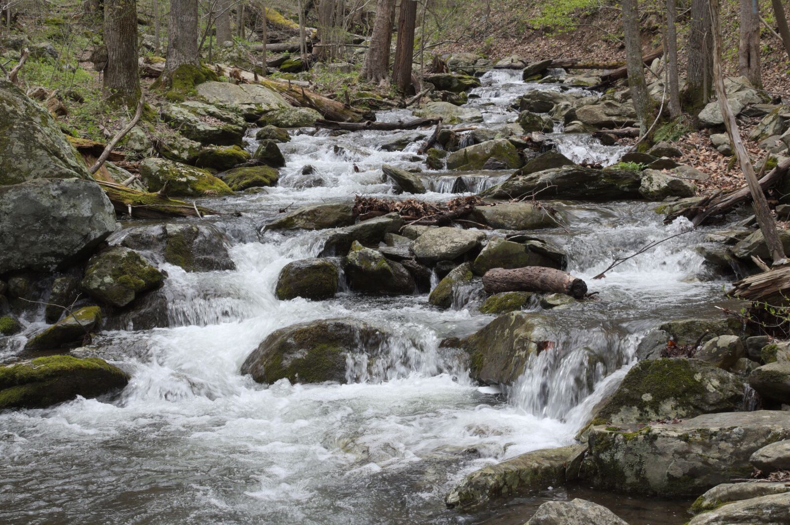 Canon EOS 1300D (EOS Rebel T6 / EOS Kiss X80) sample photo. Cascade, stream, nationalpark photography