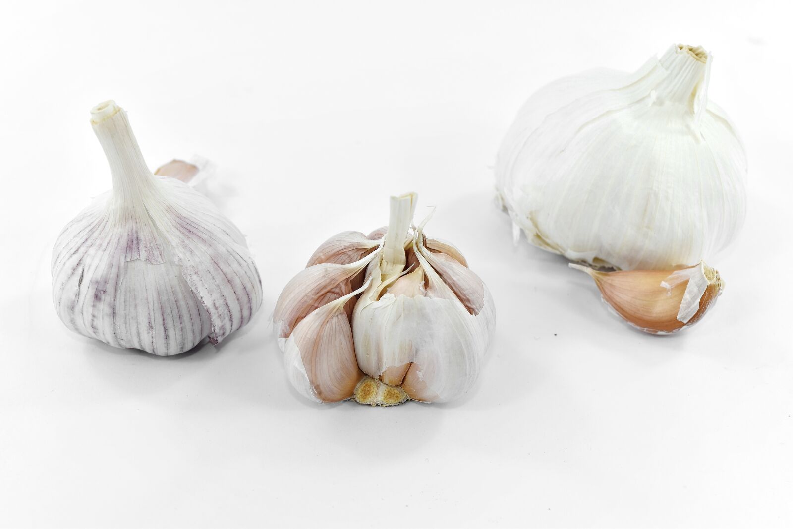 Nikon D5500 sample photo. Aroma, details, garlic, root photography