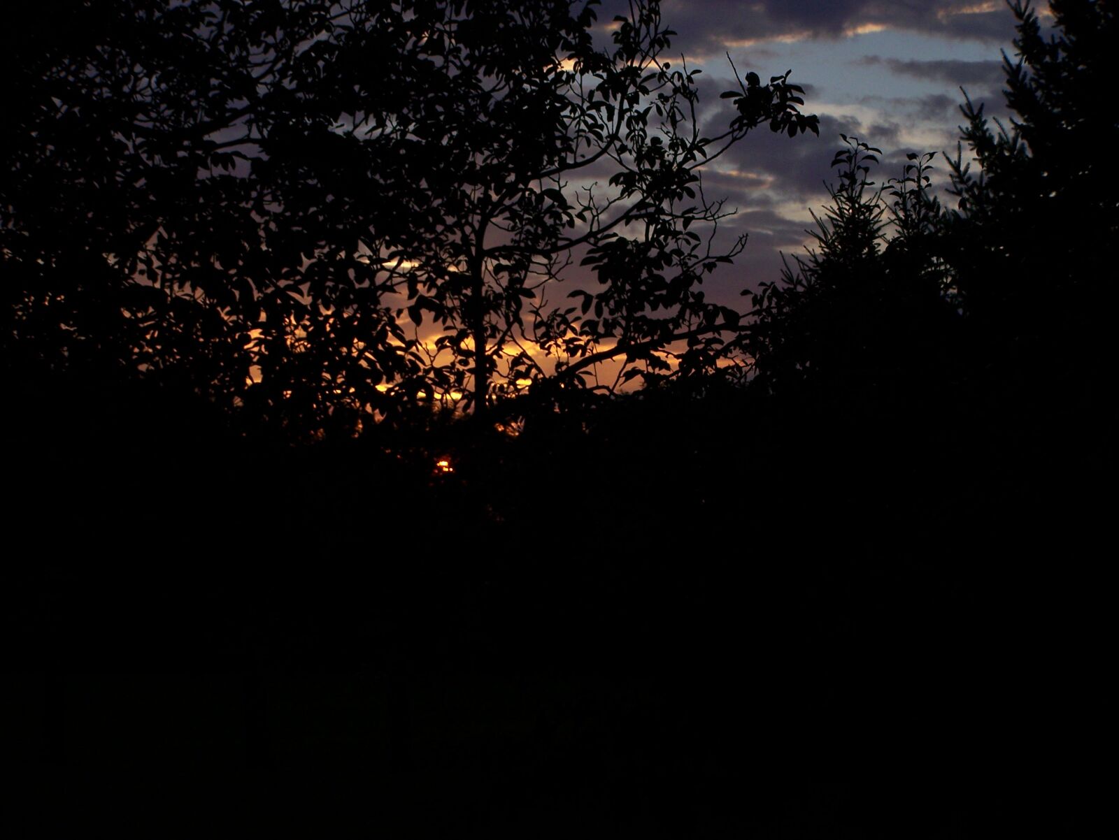 Kodak Z650 ZOOM DIGITAL CAMERA sample photo. Sunset photography