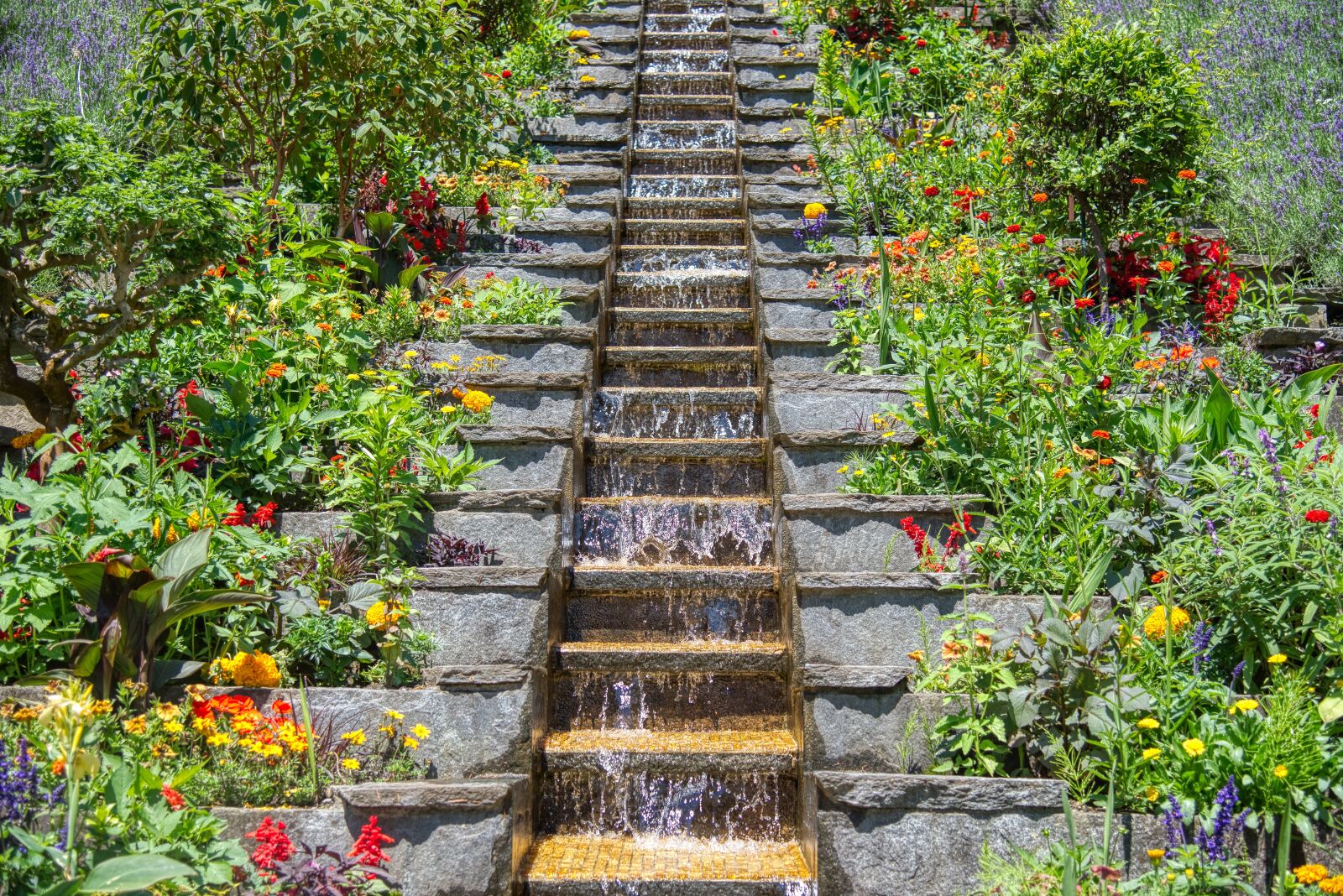 Nikon D750 sample photo. Flowers water stairs, watercourse photography