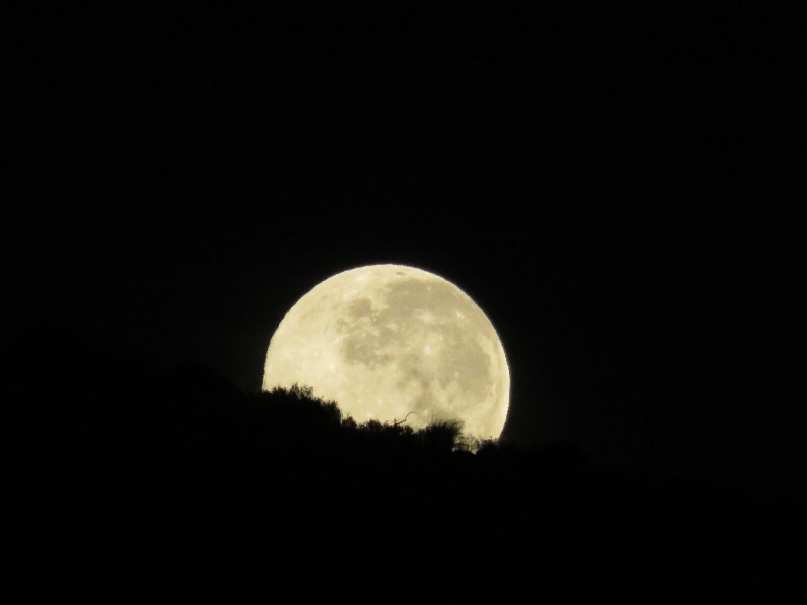 Canon PowerShot SX710 HS sample photo. Moon, night, moonlight photography