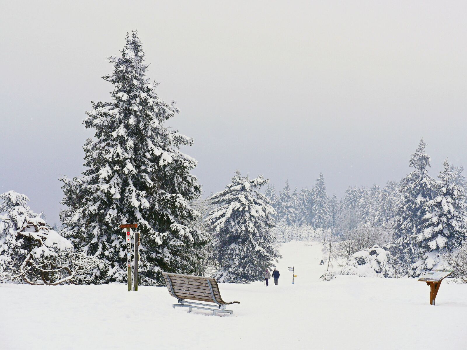 Panasonic Lumix DMC-GH3 sample photo. Winter hike, hochsauerland, kahler photography