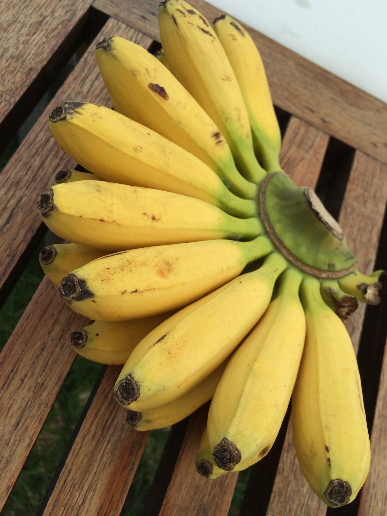 Apple iPhone 5s sample photo. Bananas, yellow, ripe photography
