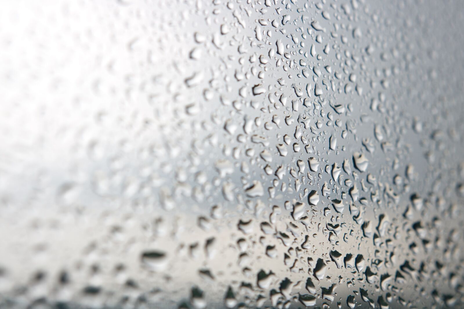 Canon EOS 750D (EOS Rebel T6i / EOS Kiss X8i) sample photo. Water, drop, glass photography