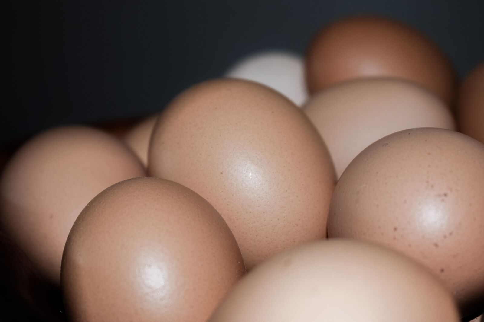 Nikon D3300 sample photo. Eggs, food, fresh photography