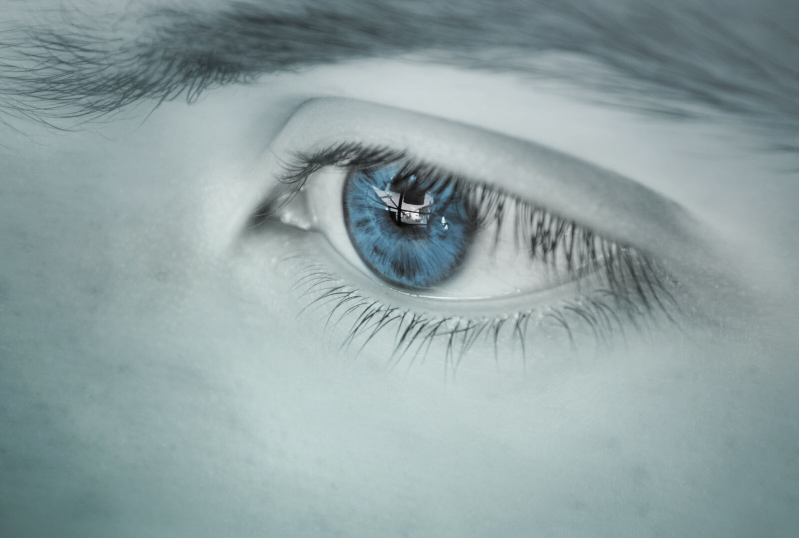 Nikon D5200 sample photo. Adult, beautiful, blue, color photography
