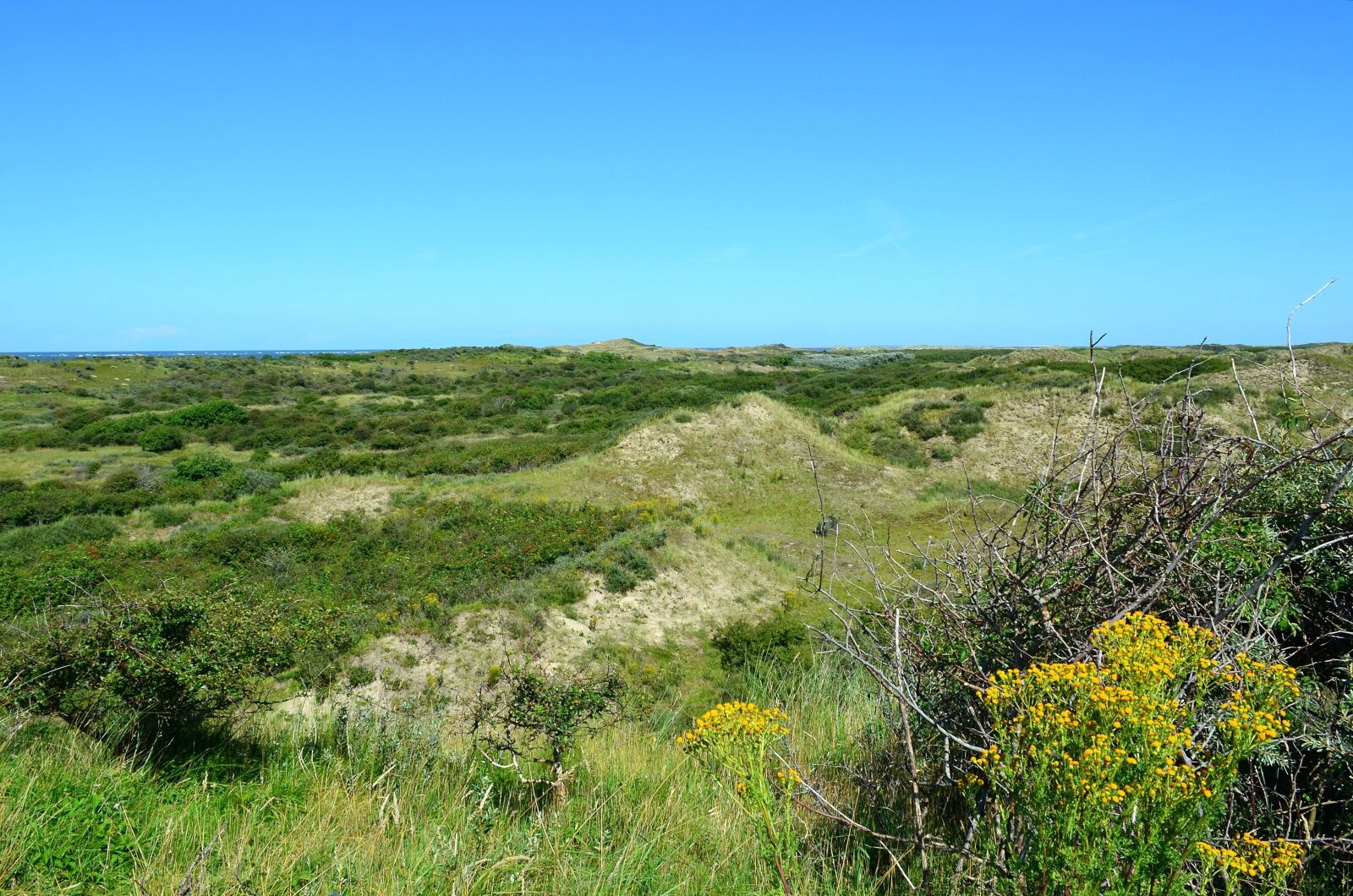 Nikon D5100 sample photo. Dune landscape, dunes, north photography