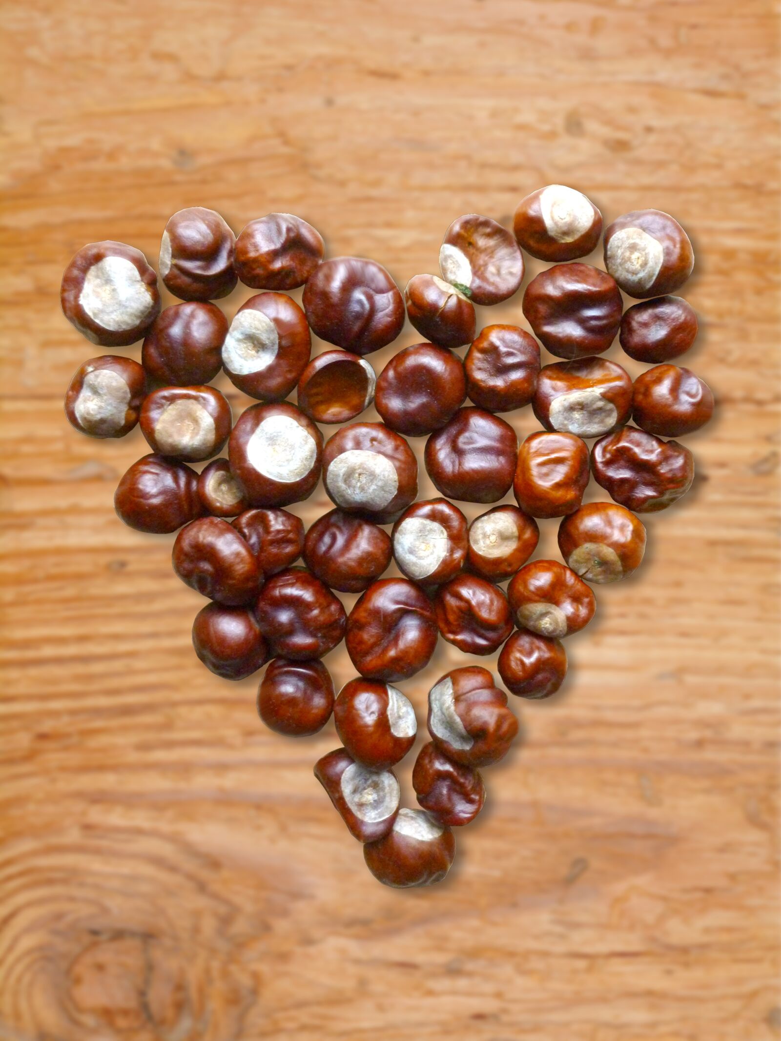 Canon EOS 5D Mark II sample photo. Heart, chestnut, chestnut heart photography