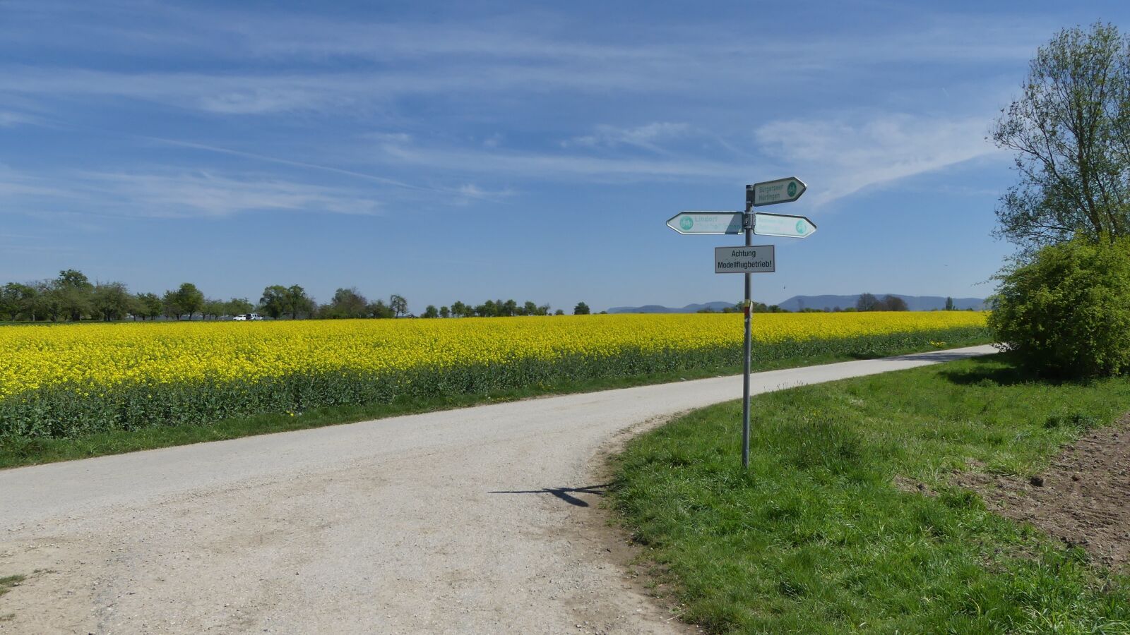 Panasonic Lumix DMC-FZ300 sample photo. Oilseed rape, field, landscape photography