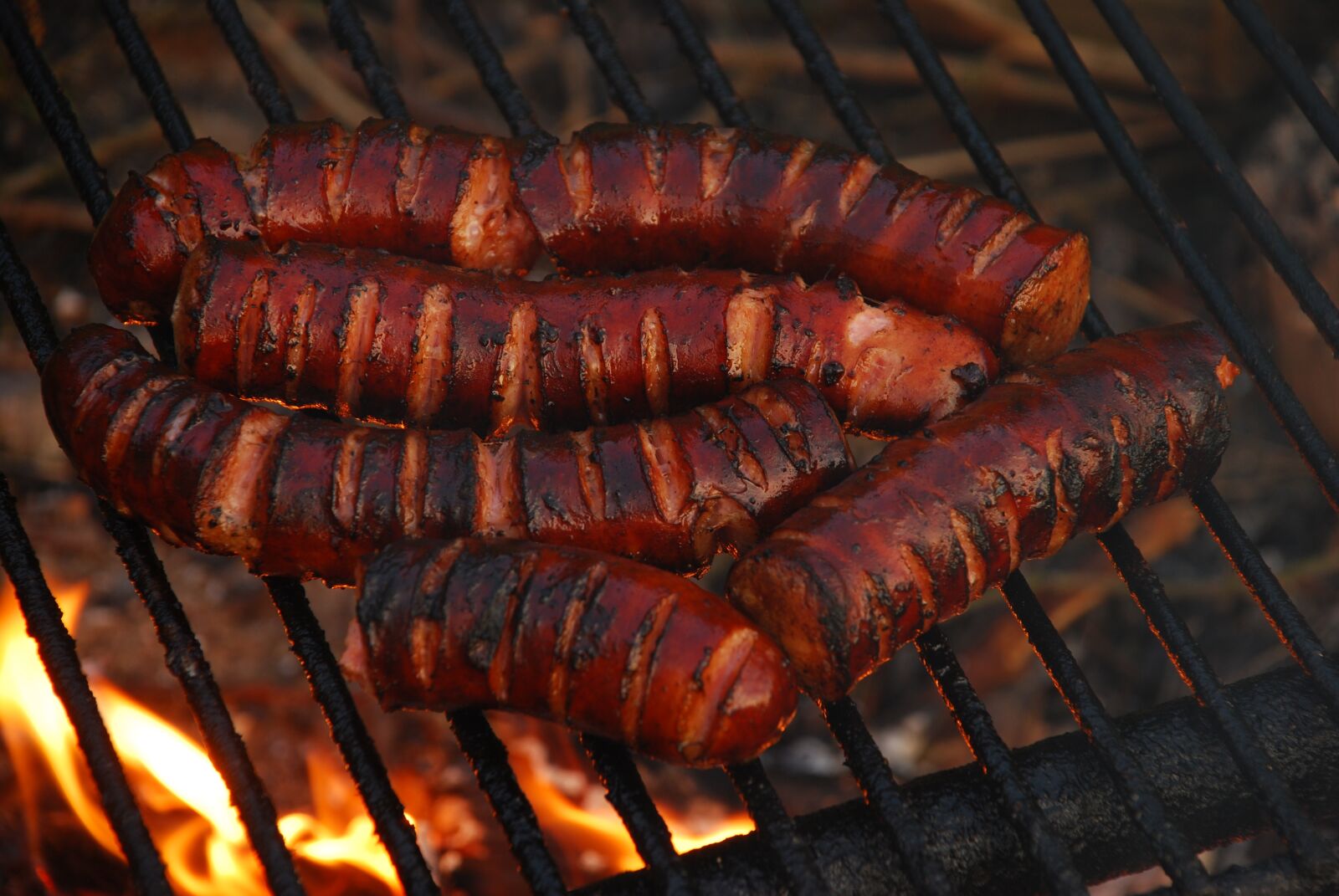 Nikon D80 sample photo. Grill, sausage, fire photography