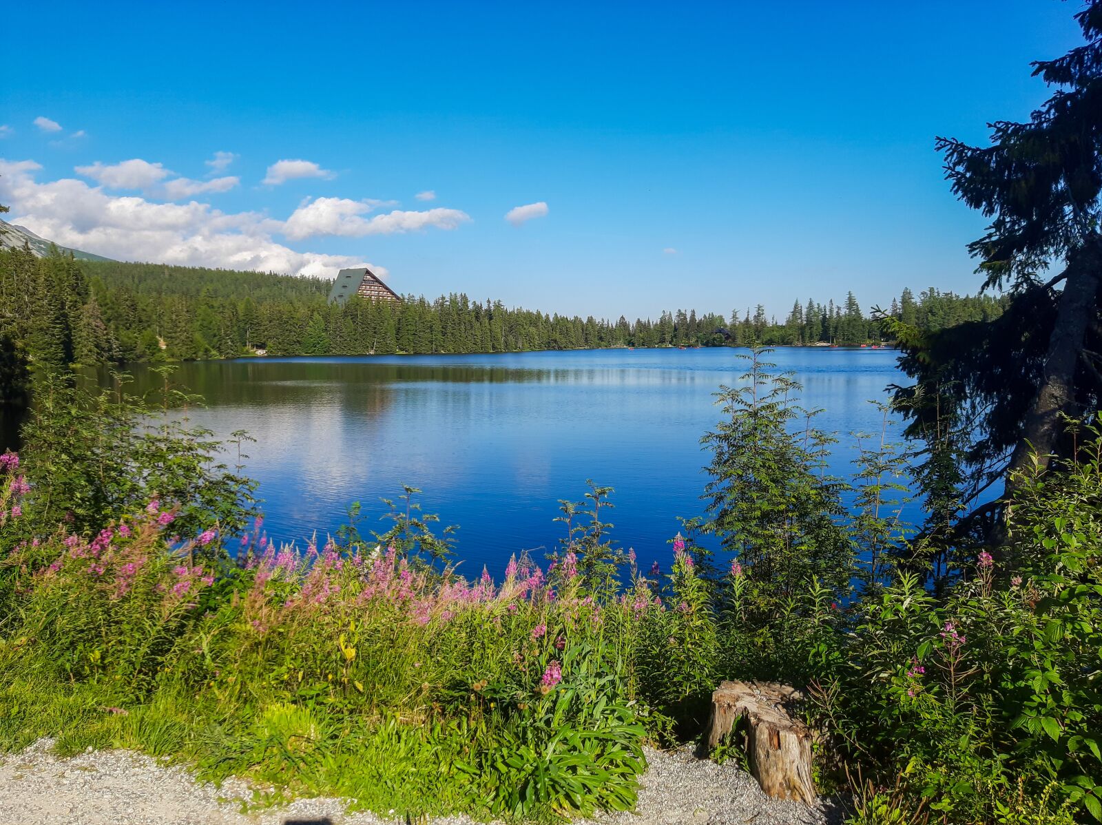 Samsung Galaxy A50 sample photo. High tatras, tatry mountains photography
