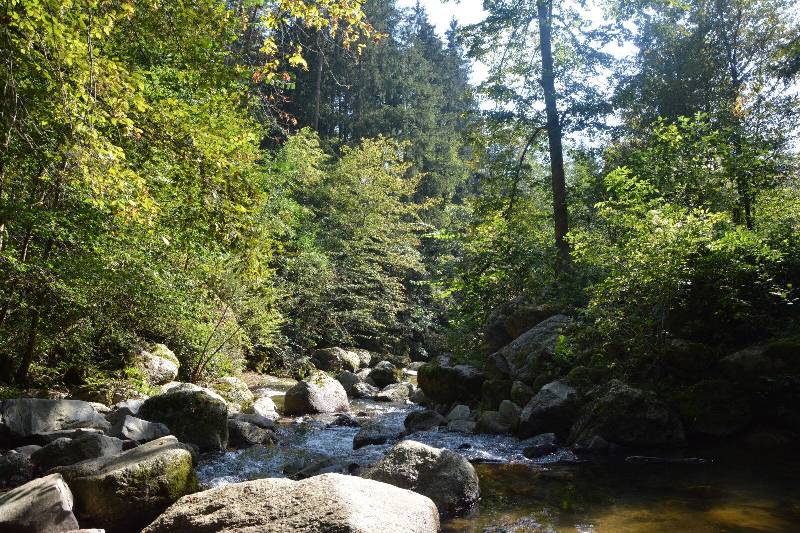 Nikon D5200 sample photo. Forest, stone, water photography
