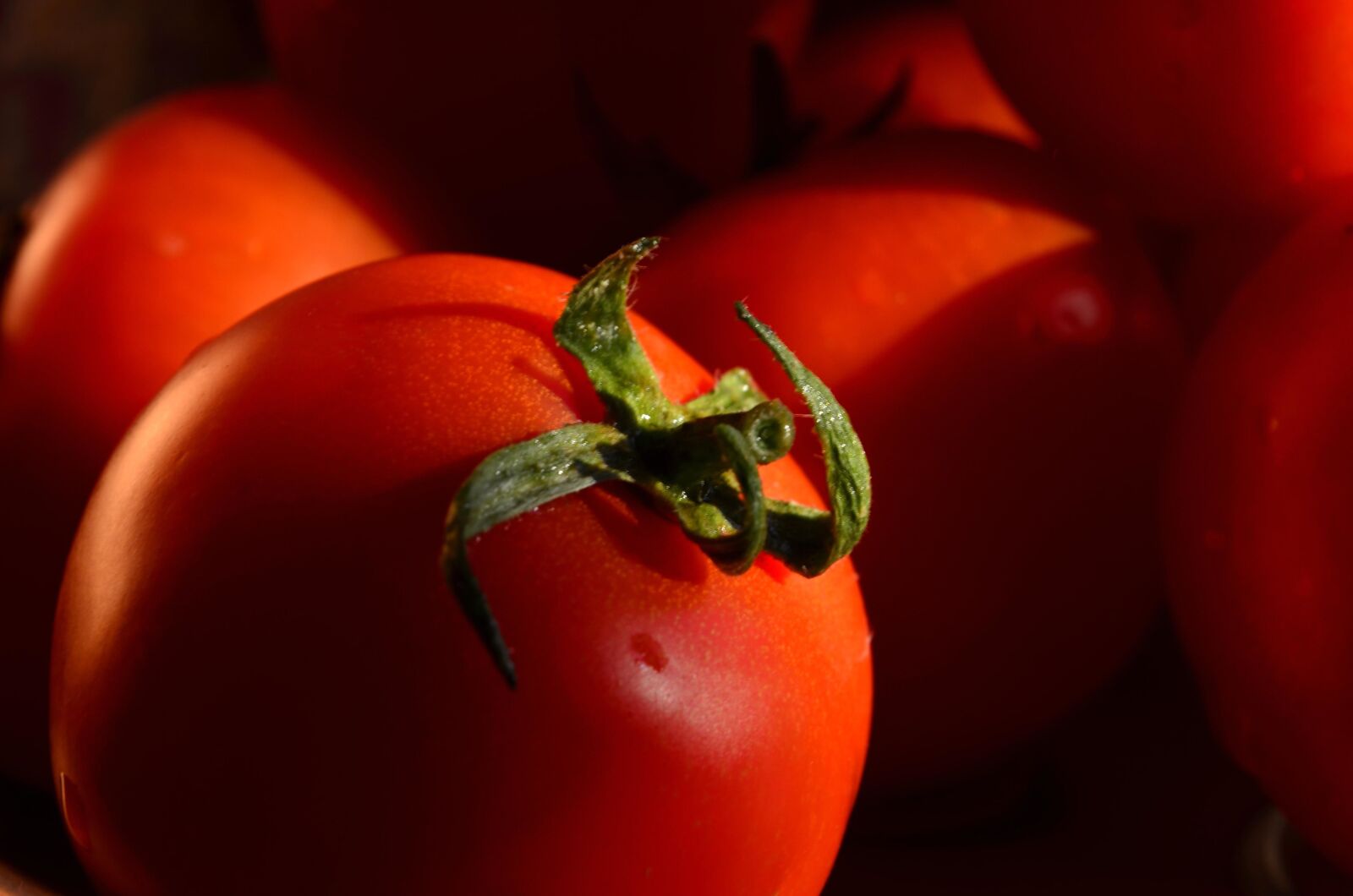 Nikon D5100 sample photo. Tomato, vegetable, red, food photography