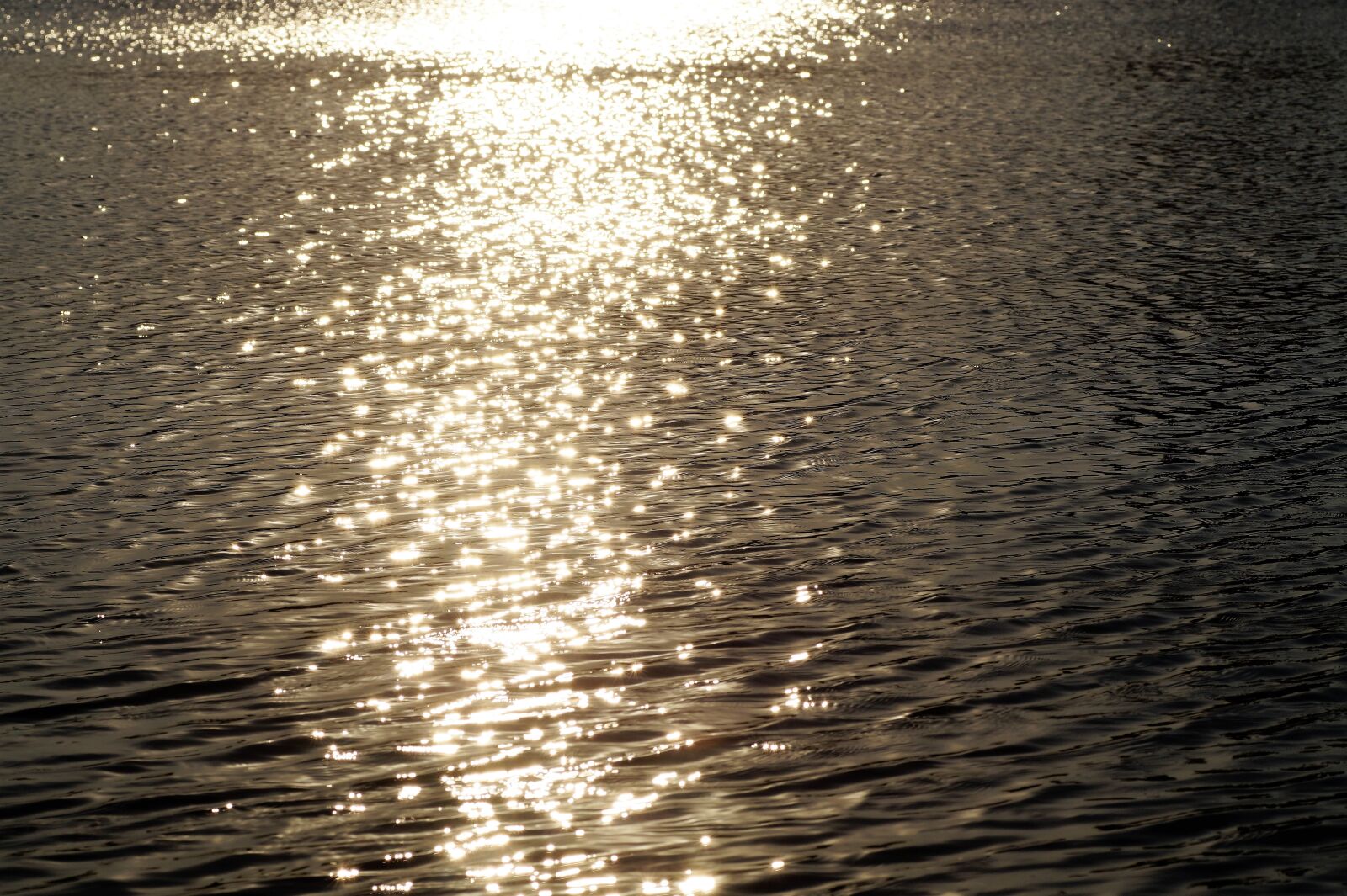 Sony SLT-A58 sample photo. Water, sun, reflection photography
